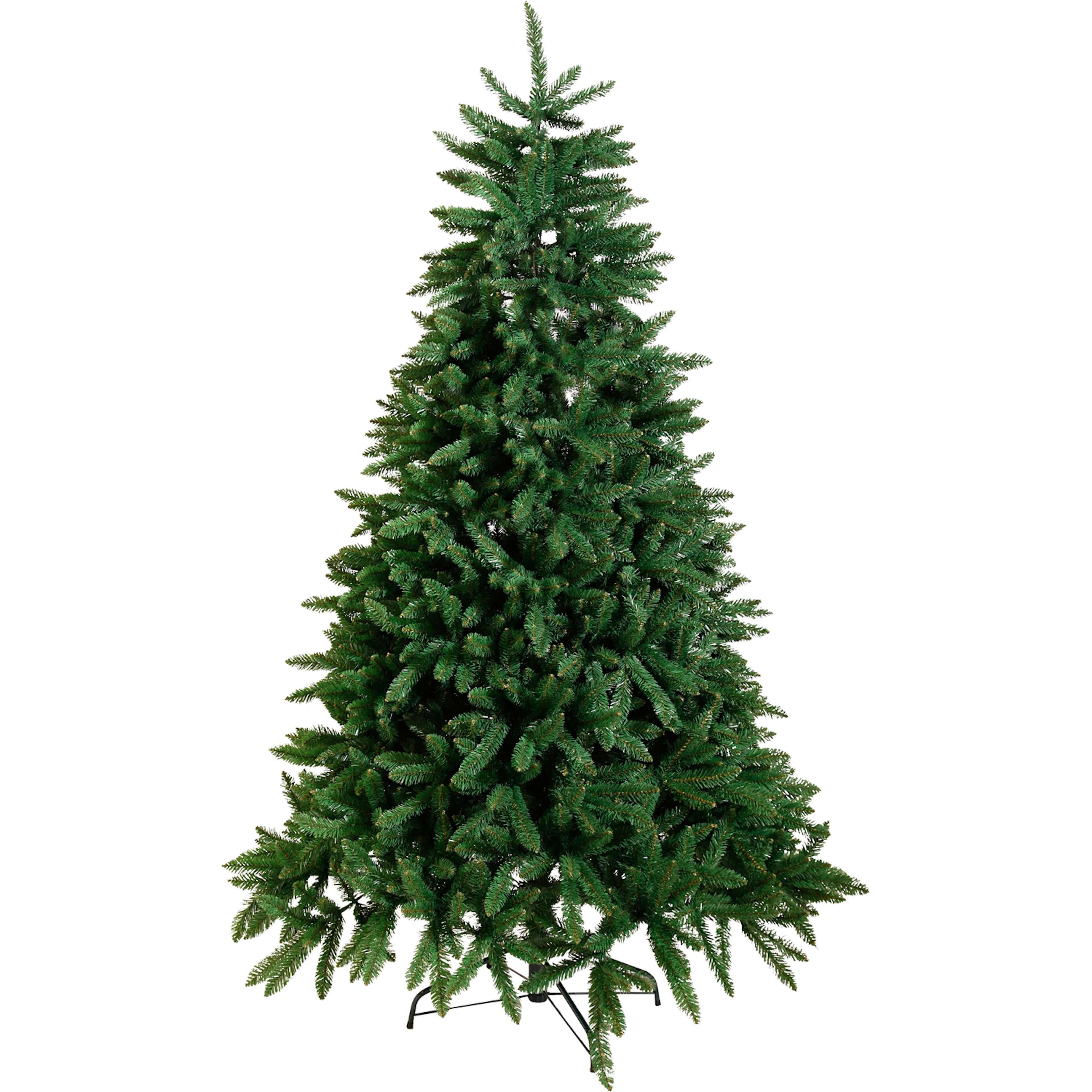 Juletre Star Trading Calgary