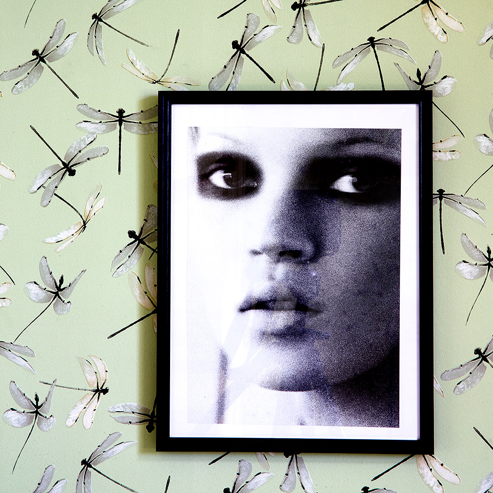 Tapet Mimou Dragonfly Celadon