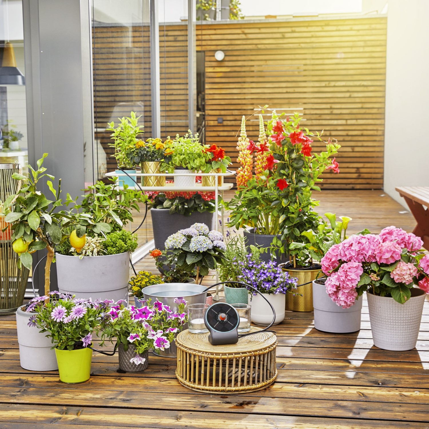 Vanningssett Gardena AquaBloom Solcelledrevet