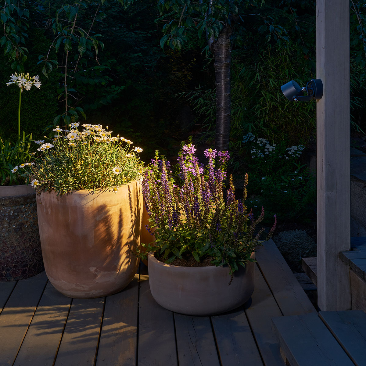 Vegglampe Norlys Moss
