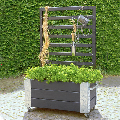 Blomsterkasse PLUS Cubic med espalier Svart 87x50x130 cm