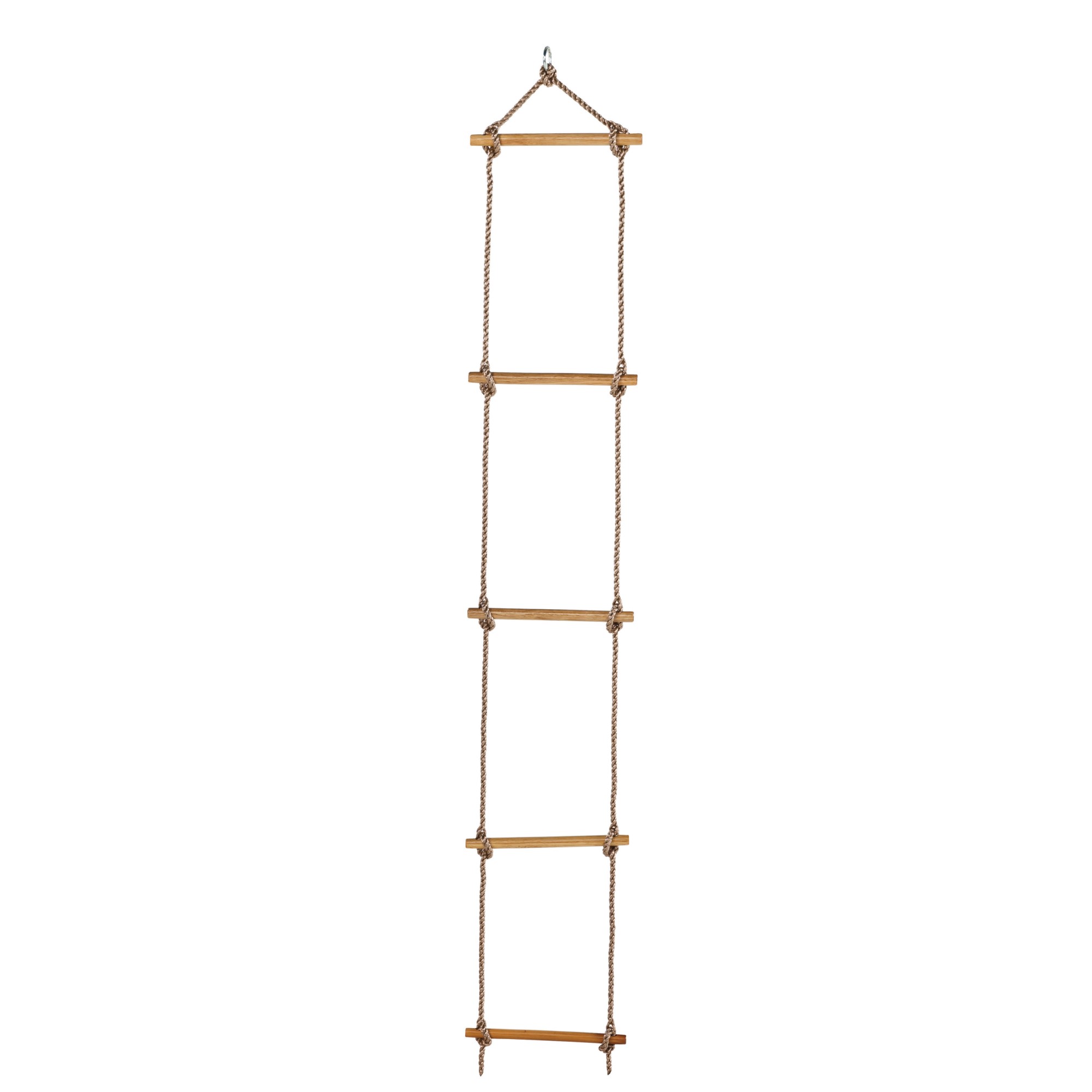 Taustige Palmako 5 Trinn