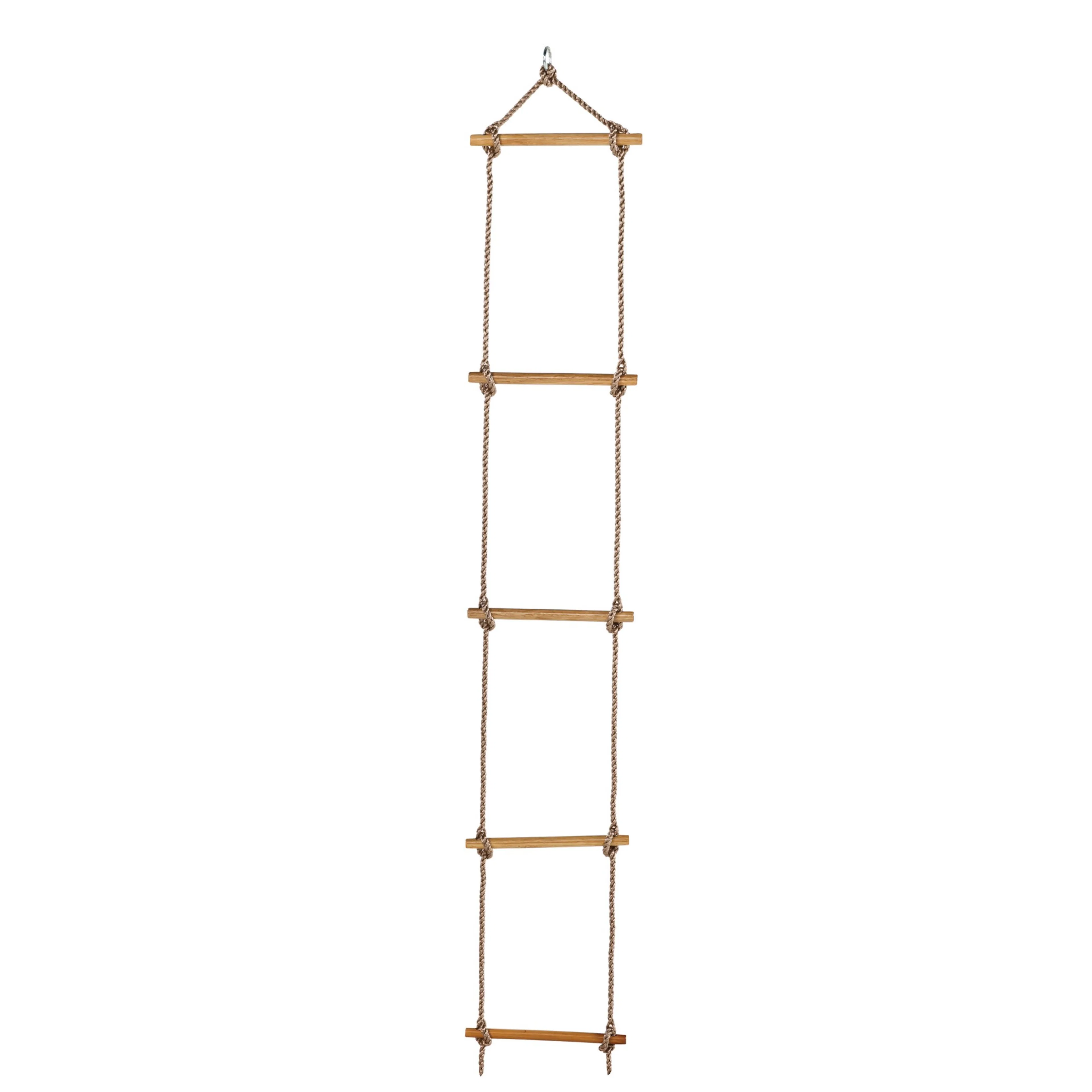 Taustige Palmako 5 Trinn