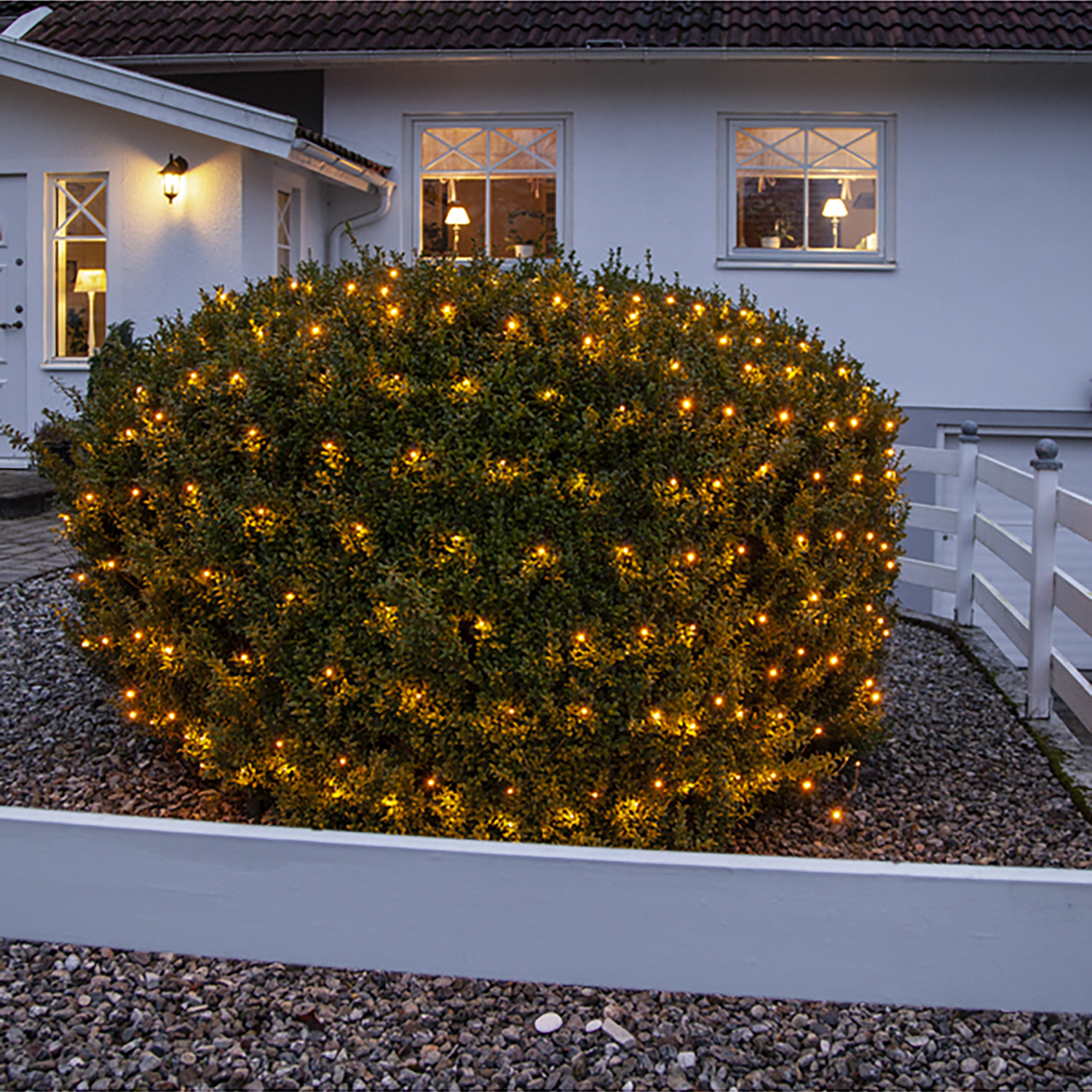 Lysnett Star Trading Golden