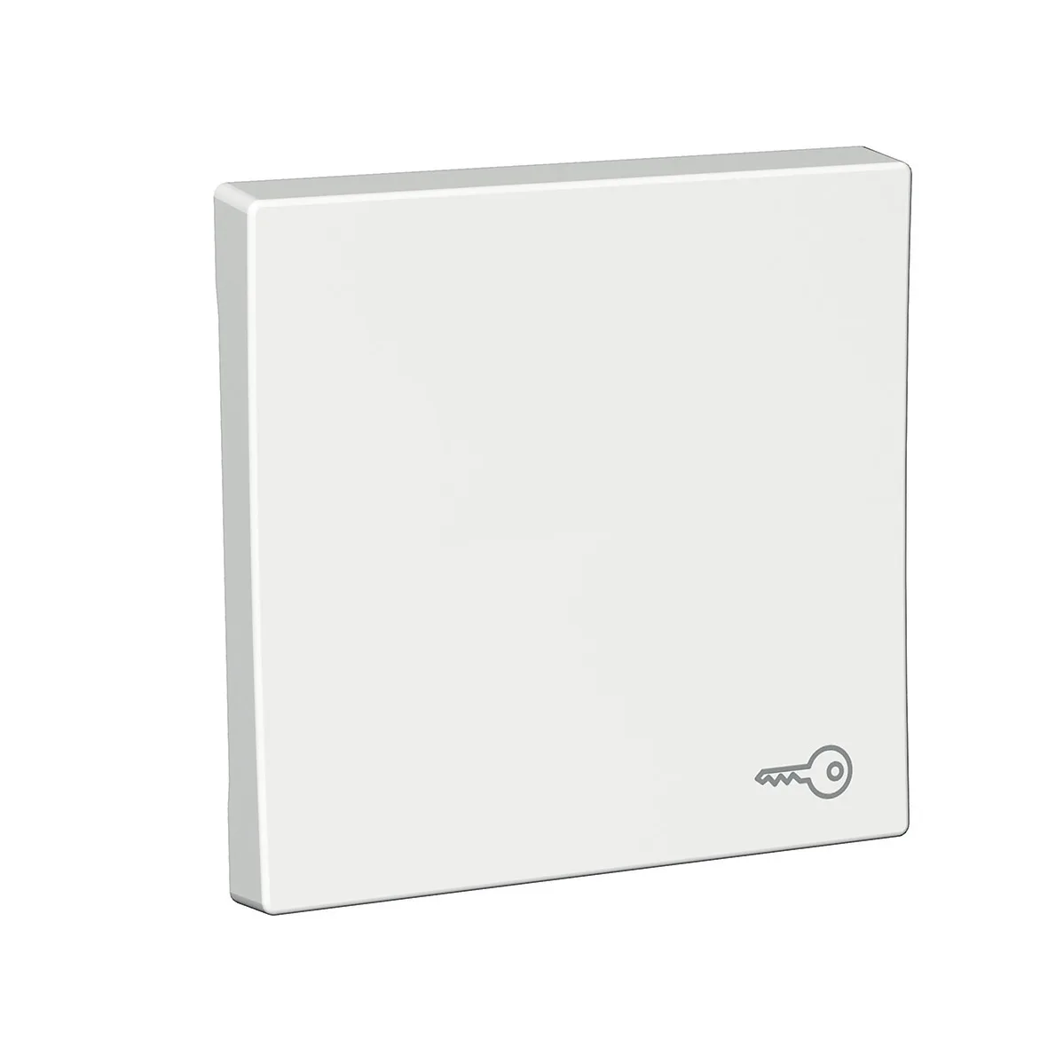 Strømbryter Schneider Electric Exxact Nøkkelsymbol