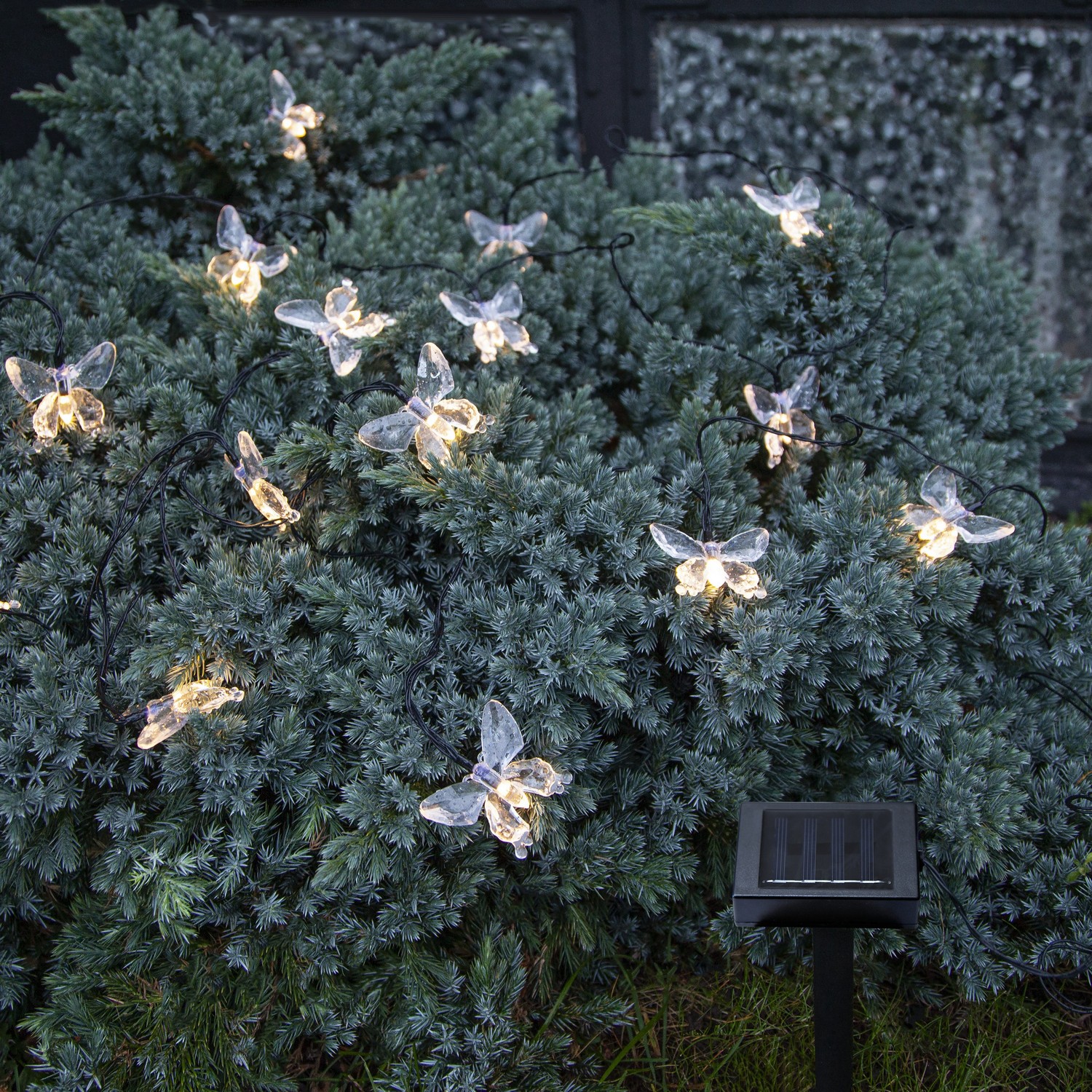Solcelle-Lyslenke Star Trading Papillon