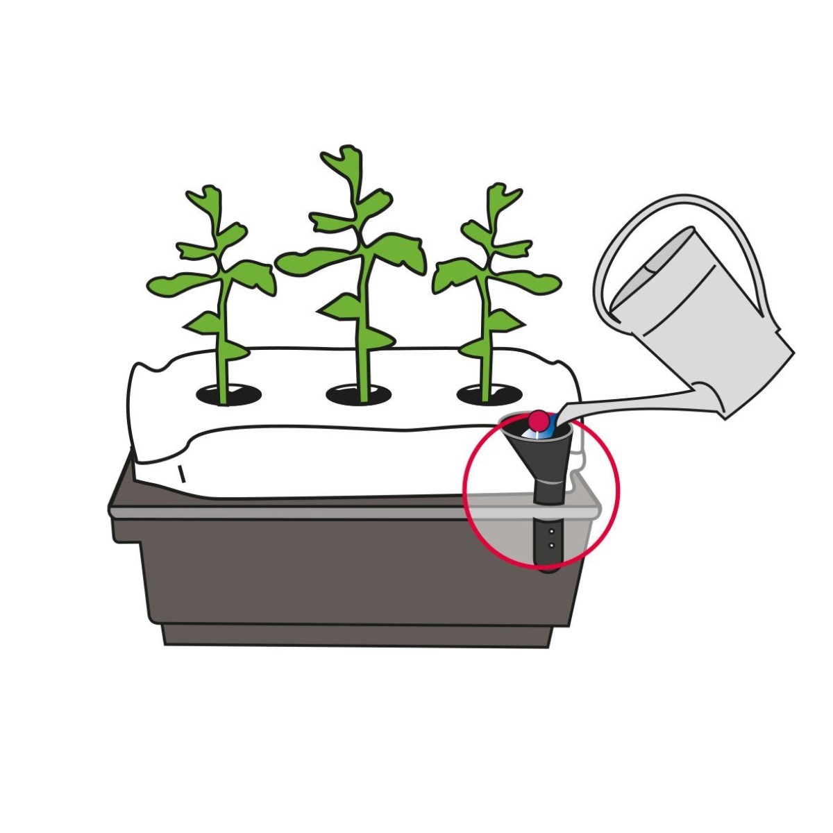 Vanningskasse Biolan for Plantepose