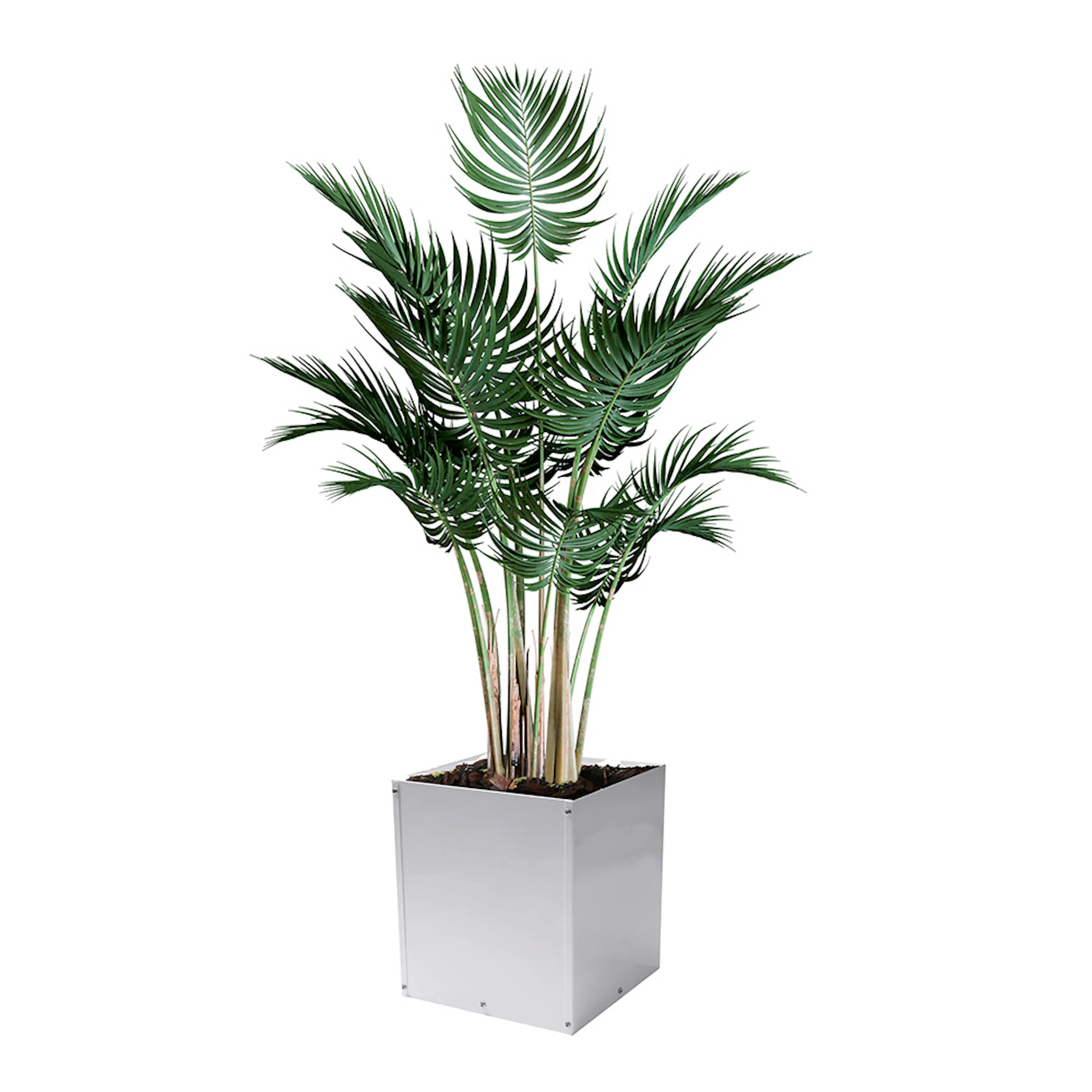 Plantekasse Skotte Garden