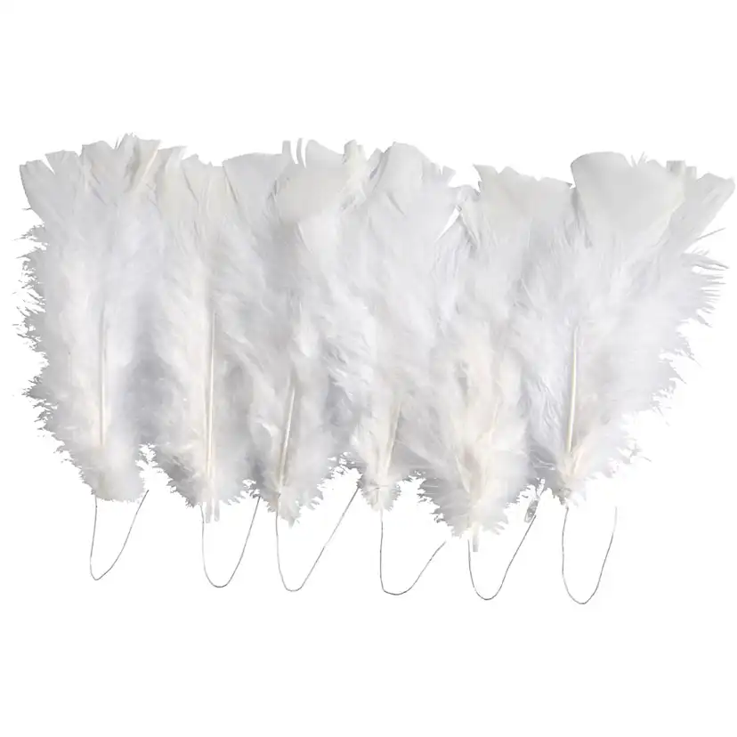 Dunfjær Creativ Company Ass Farger 11-17 cm 1 Pk Hvit