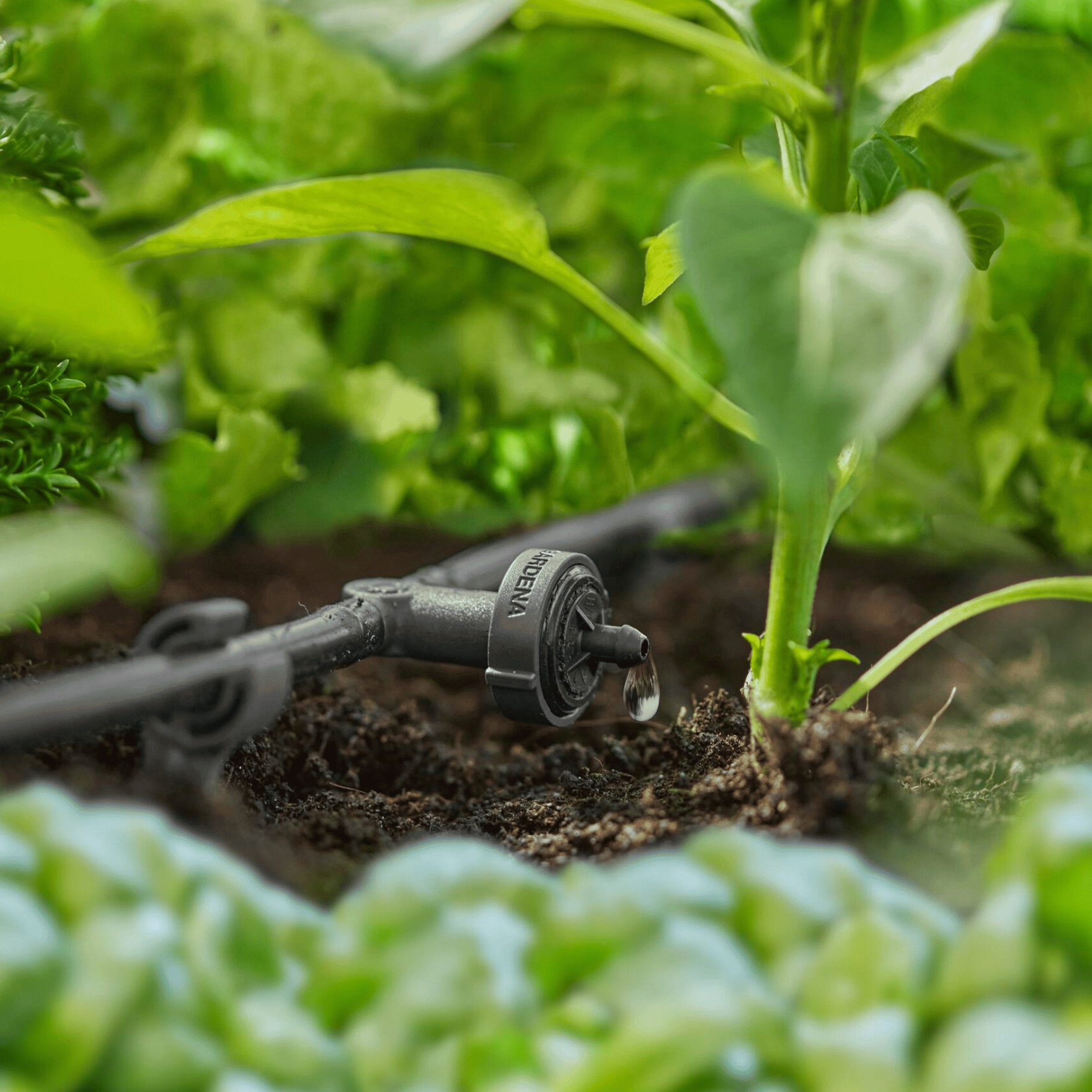 Dryppfordeler Gardena Micro-Drip Inline 2 l/h Trykkregulerende