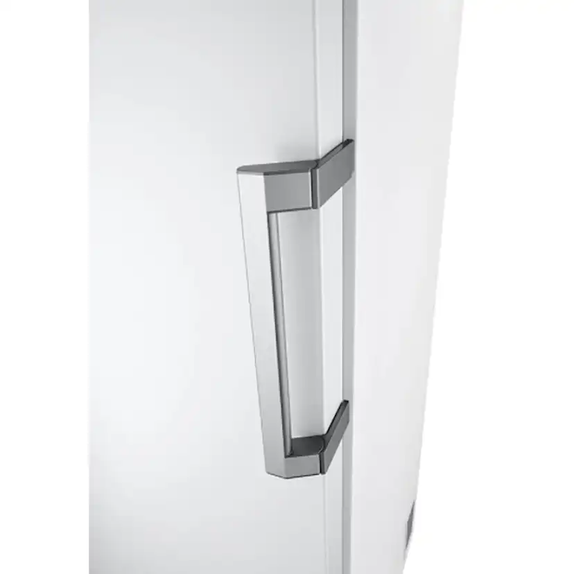 Fryser LG GFT41SWGSZ
