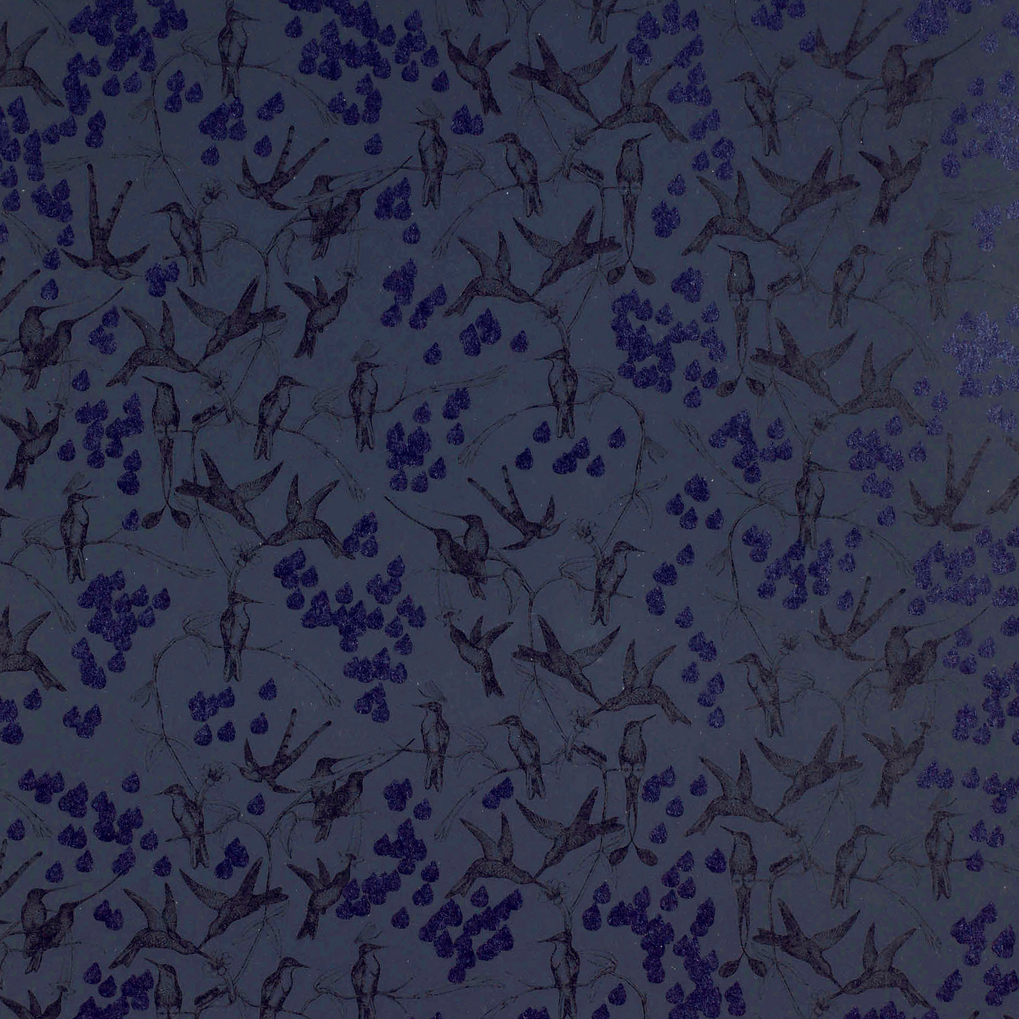 Tapet Mimou Rainbirds Black/Navy | golv - tapeter - monstrad-tapet | KakelKungen