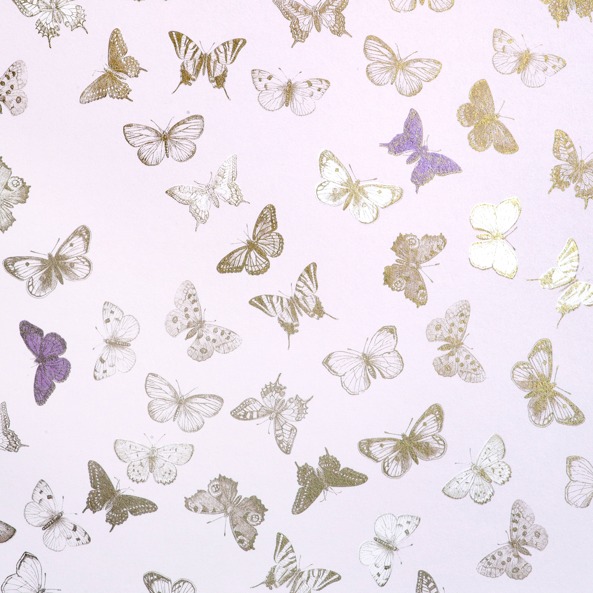 Tapet Mimou Butterfly Rose/Brass | golv - tapeter - monstrad-tapet | KakelKungen