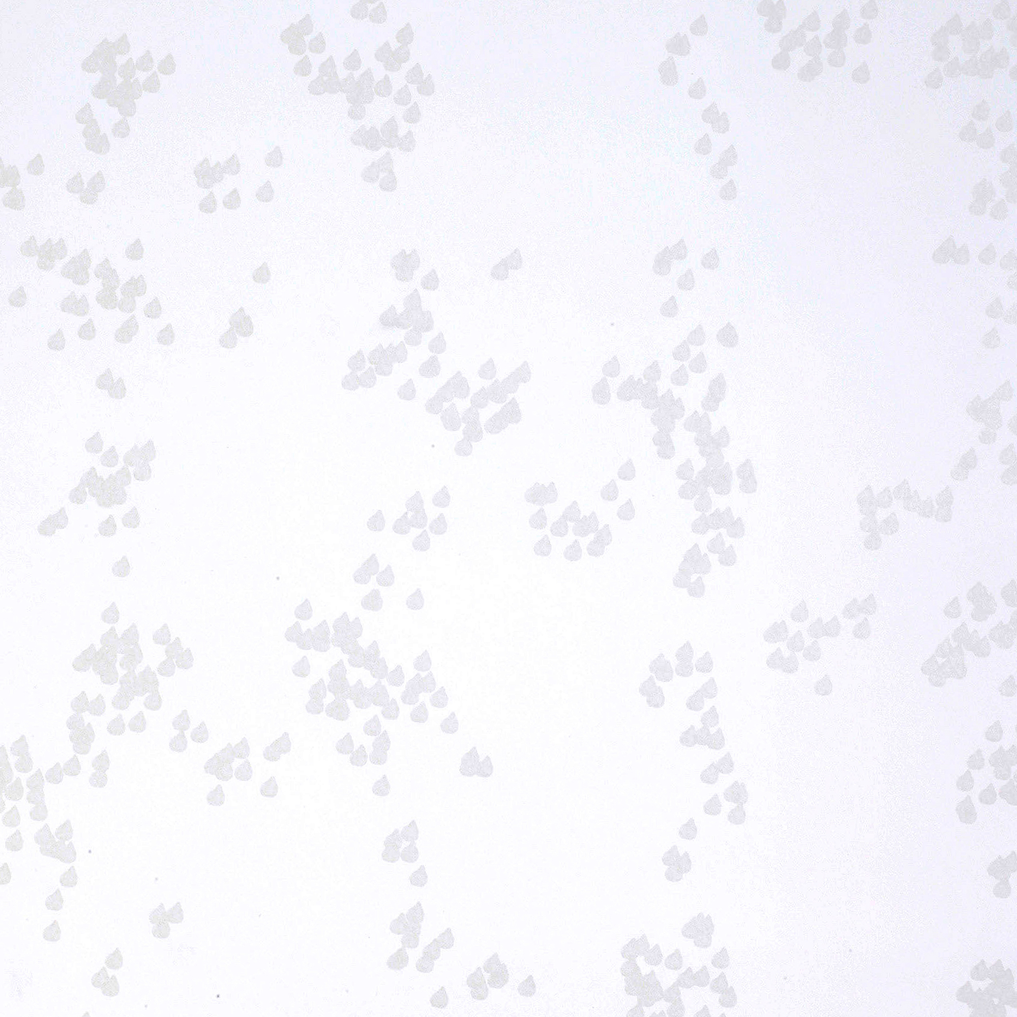 Tapet Mimou Rain White | golv - tapeter - monstrad-tapet | KakelKungen