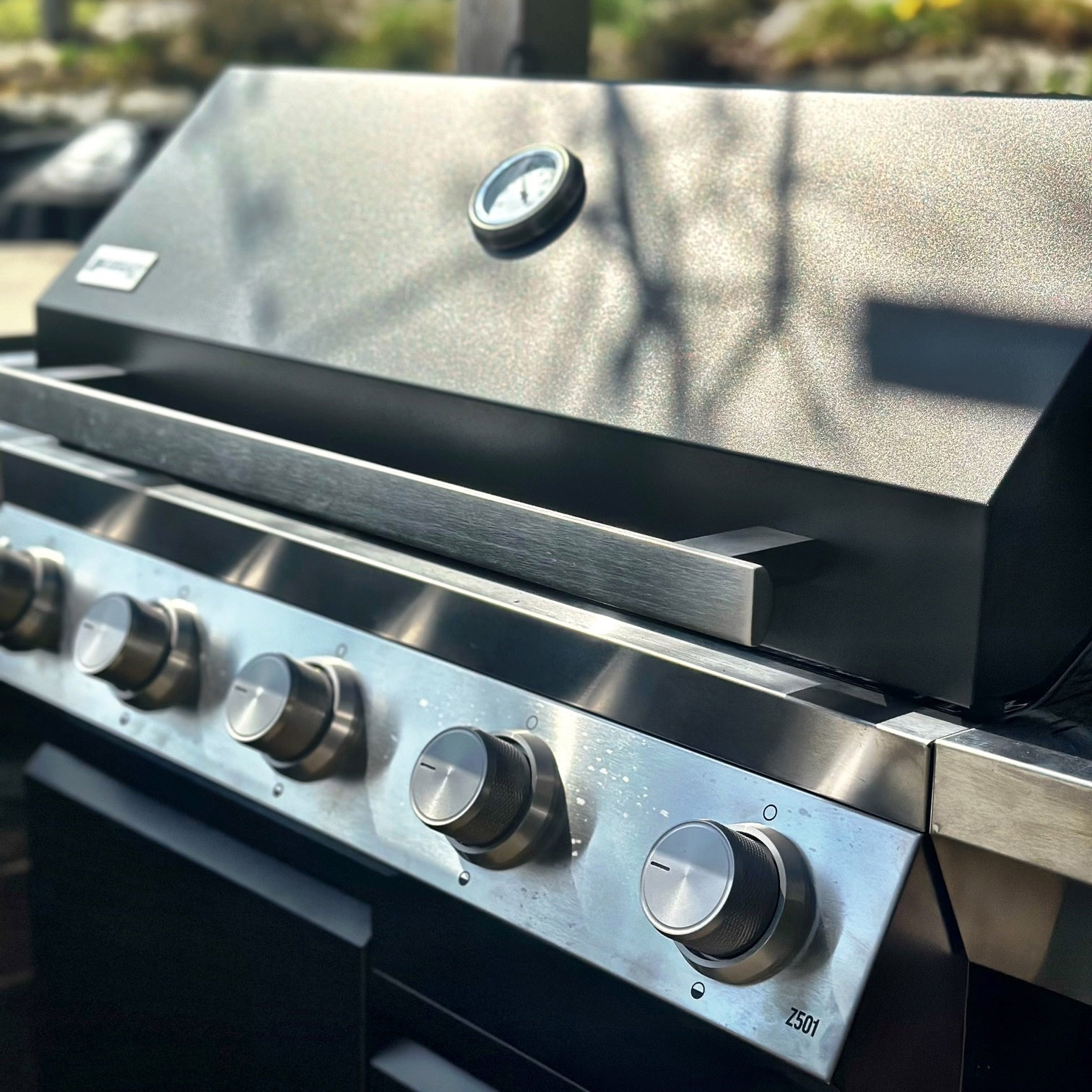 Gassgrill Bluegaz Z501