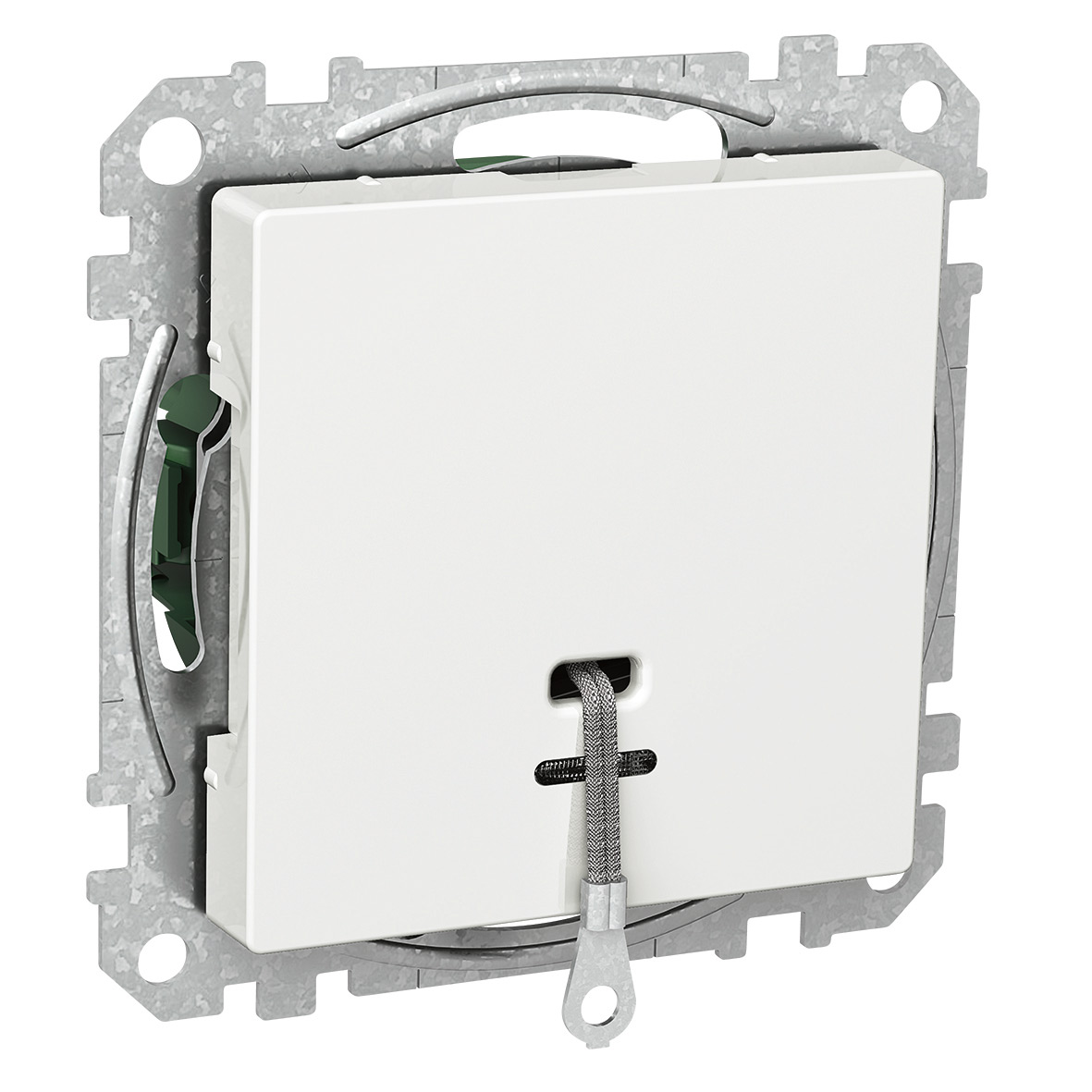 Snorbryter Schneider Electric Exxact