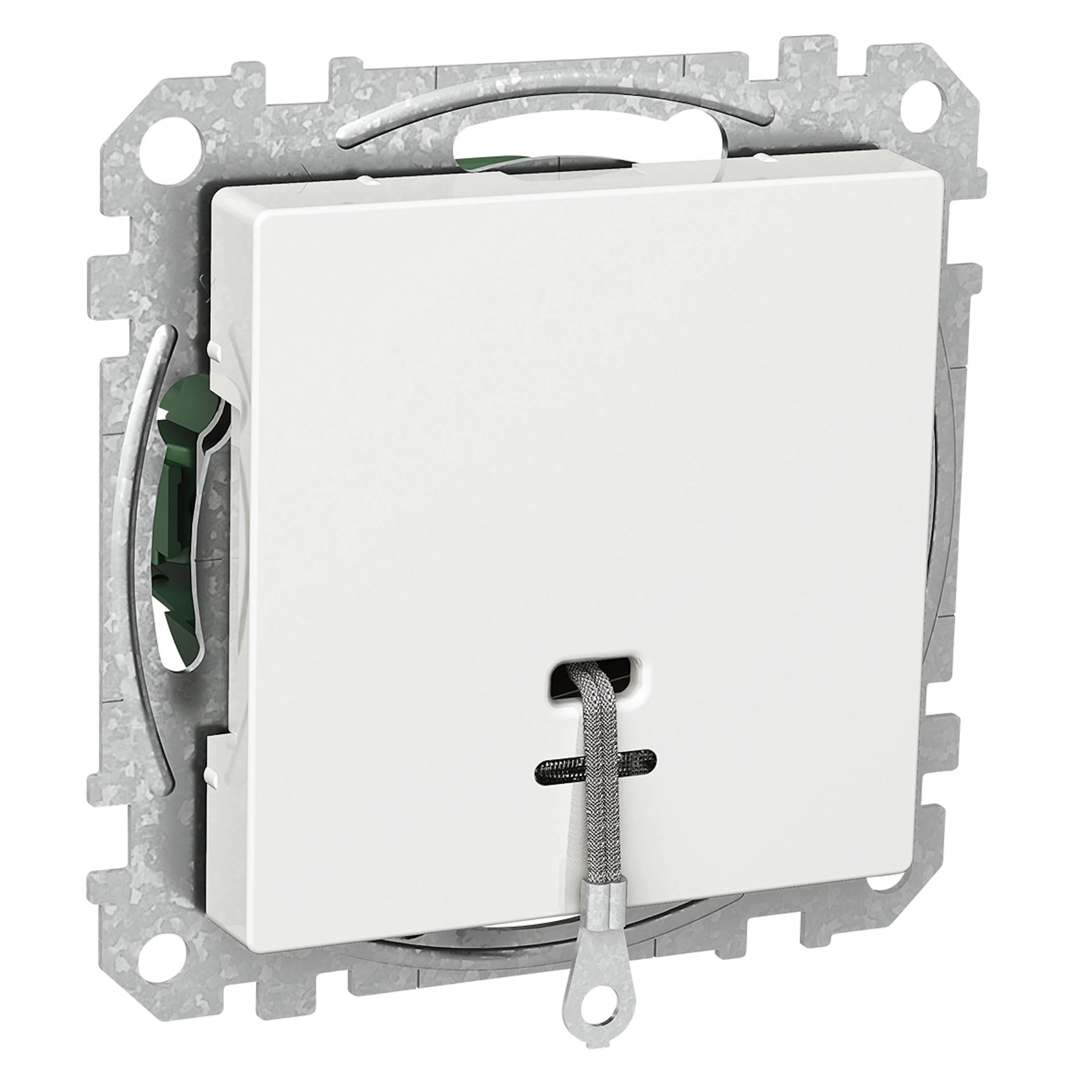 Snorbryter Schneider Electric Exxact