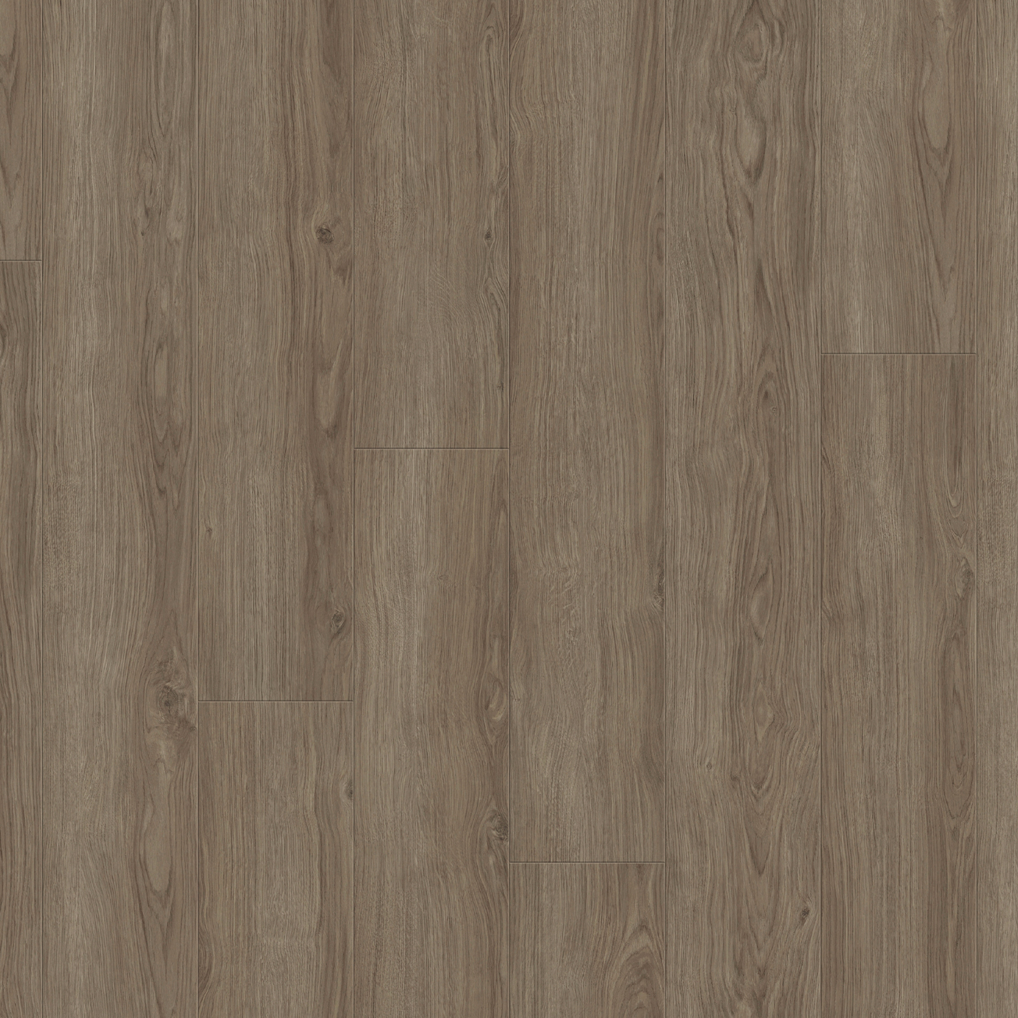 Laminatgulv Tarkett Woodstock Aurora Oak Dawn
