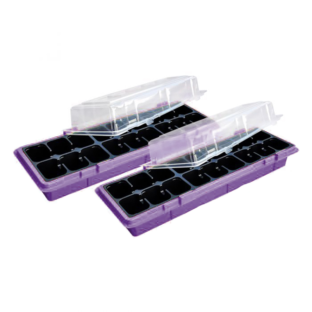 Drivhus Weibulls Winduo Syrinfiolett