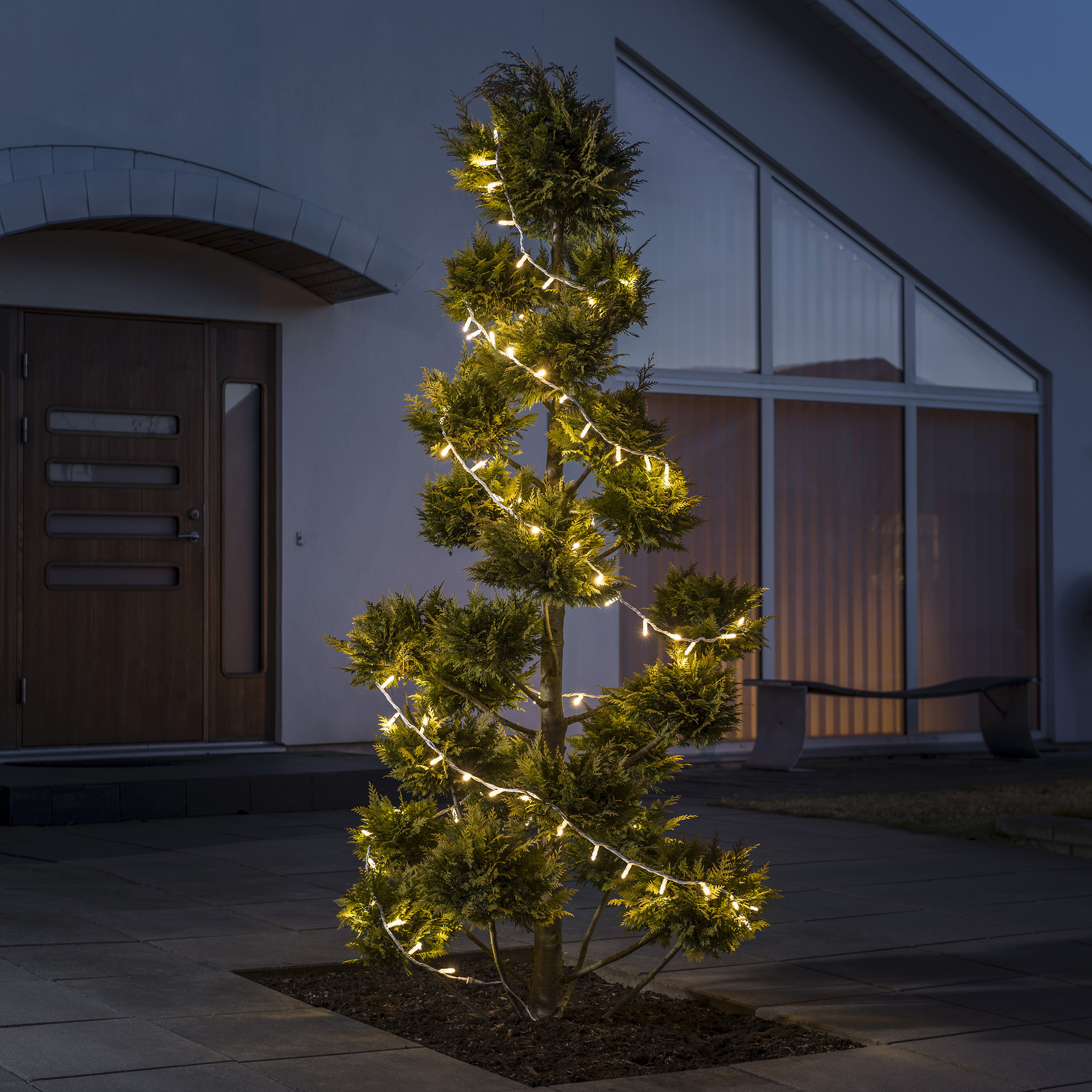 Startset 50 LED Varmhvit/Sort