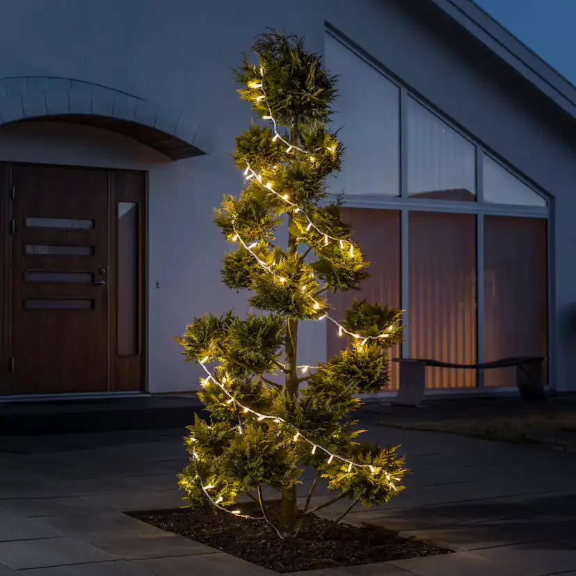Startset 50 LED Varmhvit/Sort