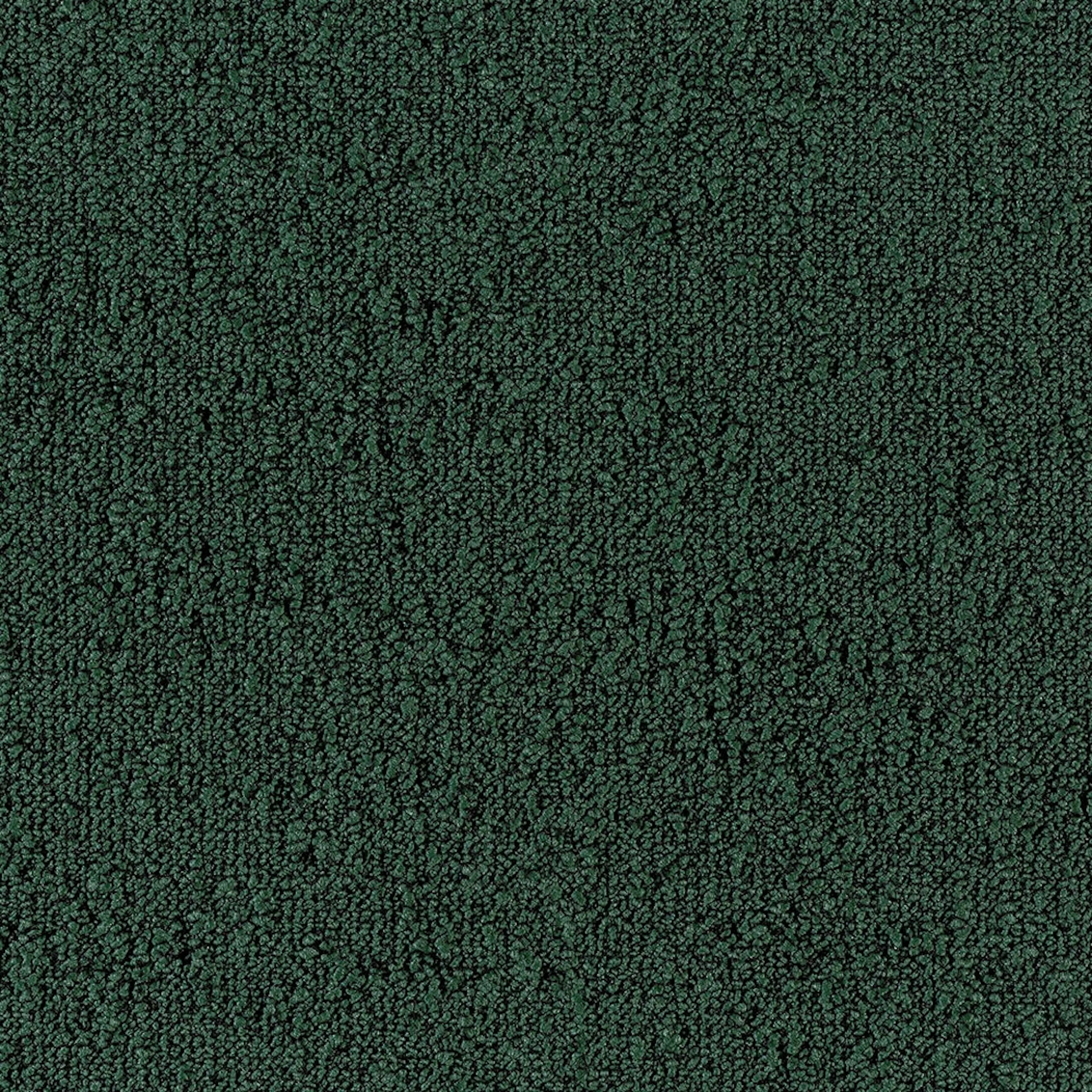 Teppeflis Tarkett Desso Fields B751 7831 B8