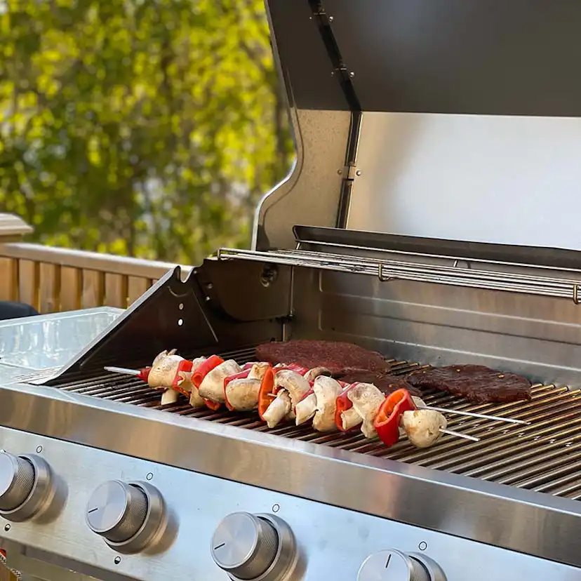 Gassgrill Bluegaz Z501