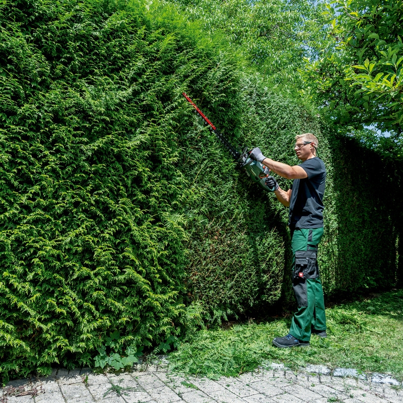 Hekksaks Metabo HS 18 LTX BL 55 CB uten Batteri og Lader