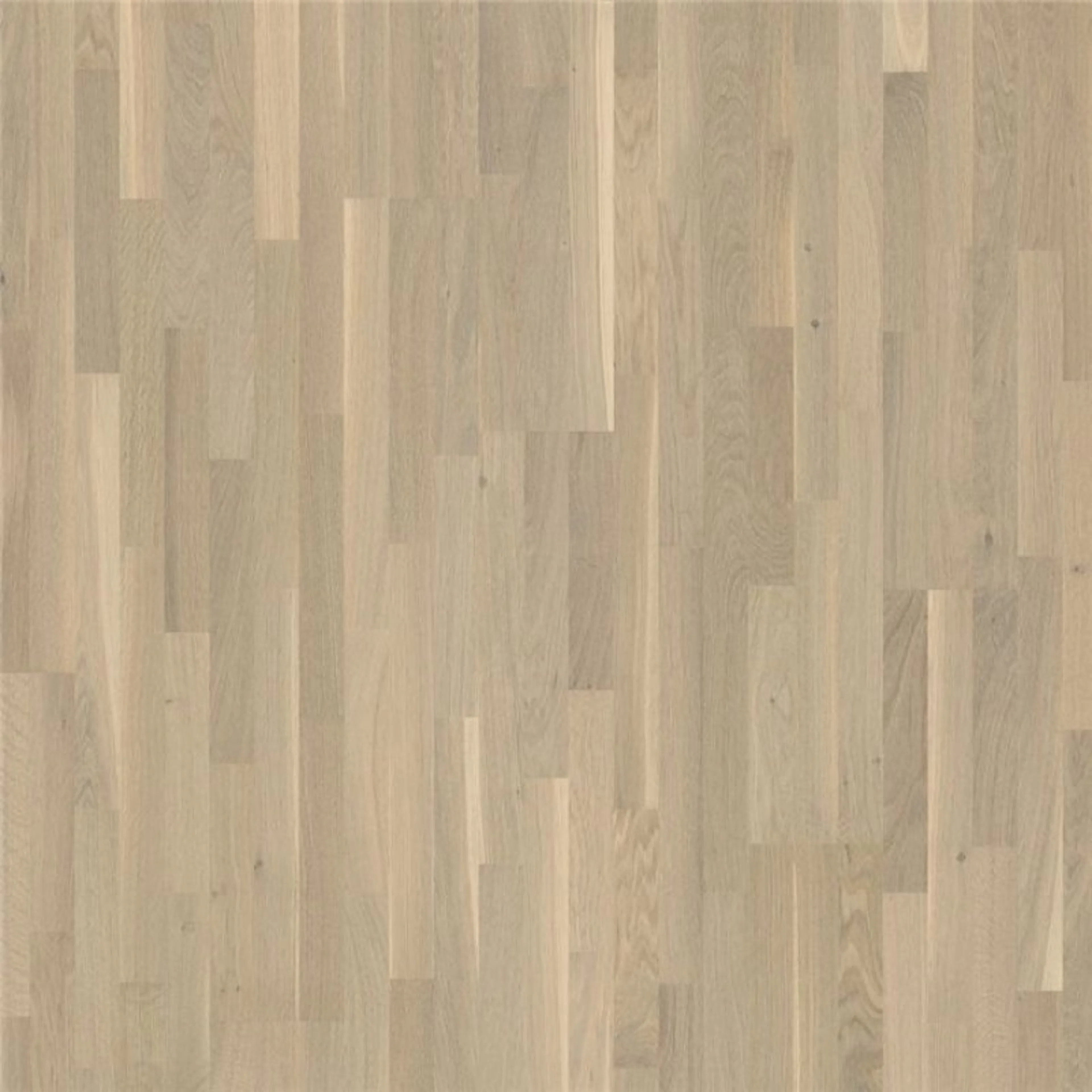 Parkett Pergo W1436 Senja Northern Light Oak 3-Stavs