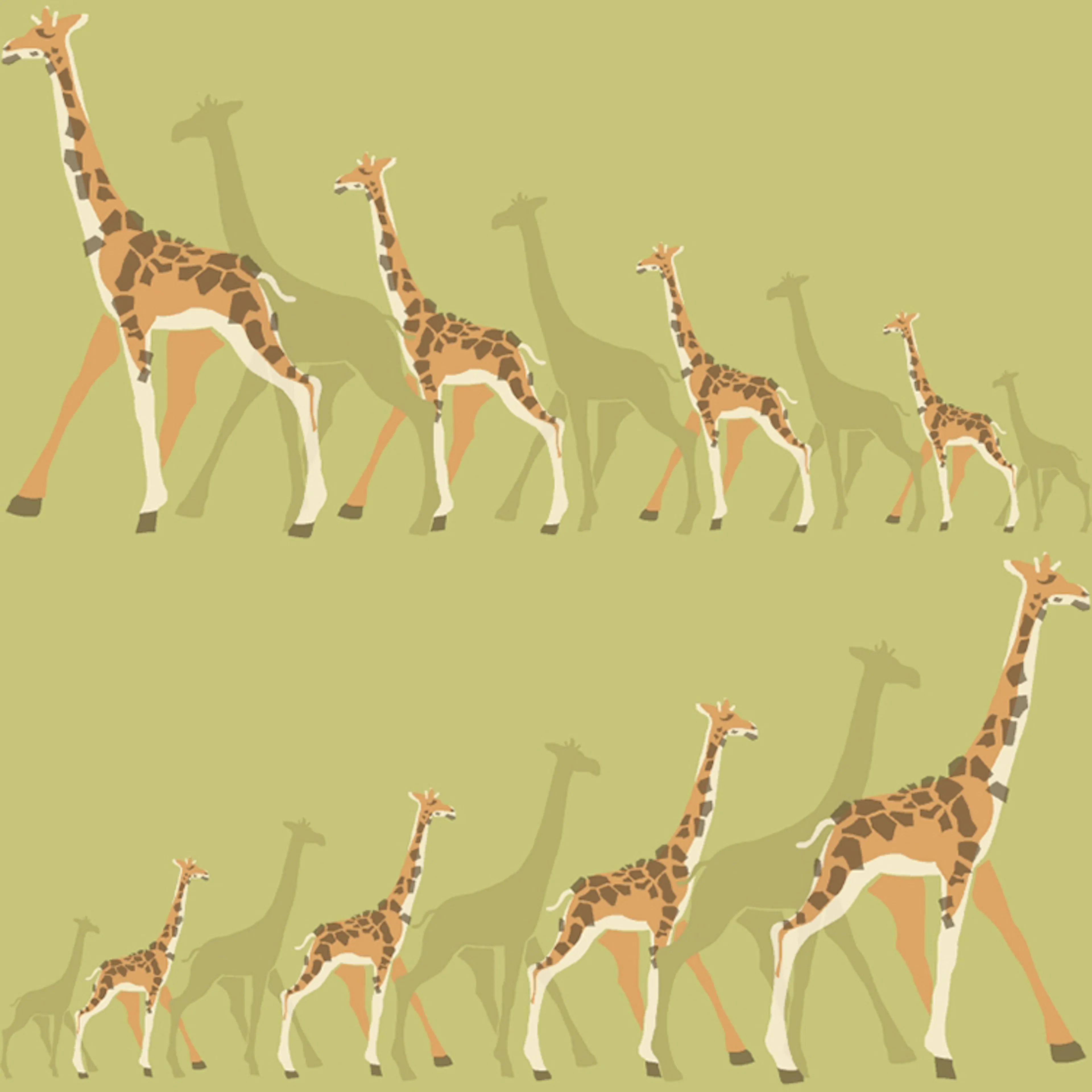 Tapet York Wallcoverings Dwell Studio Baby & Kids DW2364
