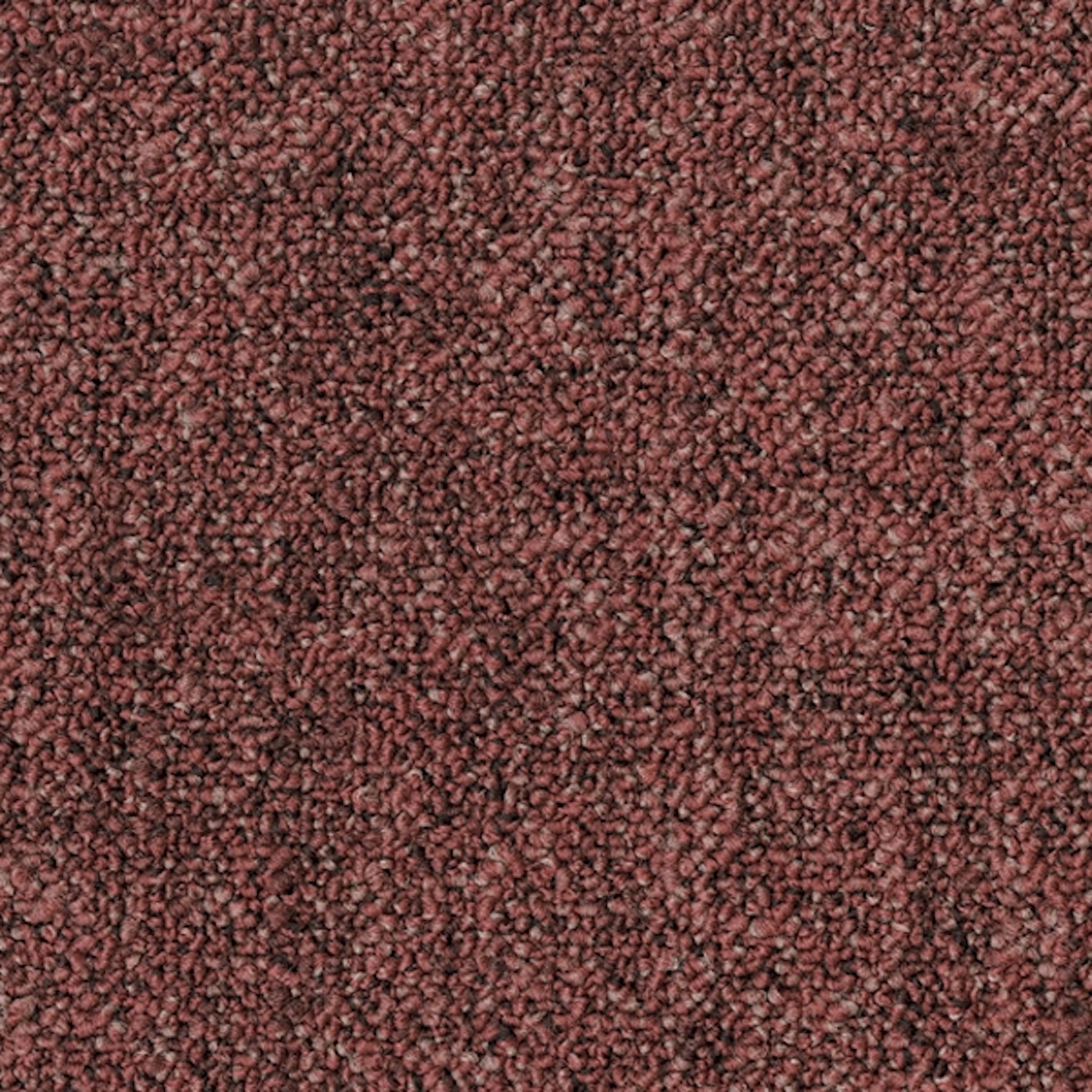 Teppeflis Tarkett Desso Linon AA83 B8 2102