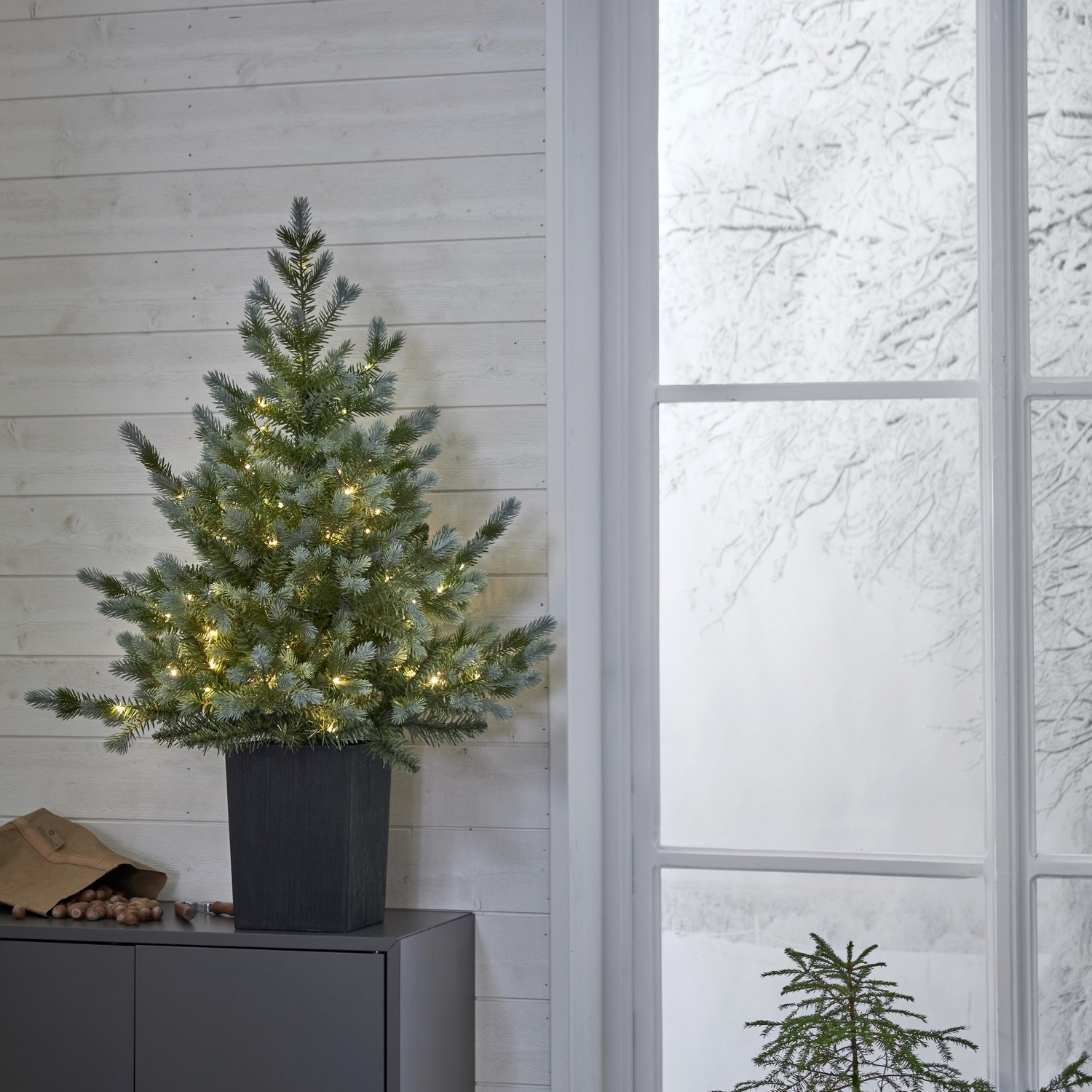 Borddekorasjon Star Trading GranGreyland95 cm 80Lb