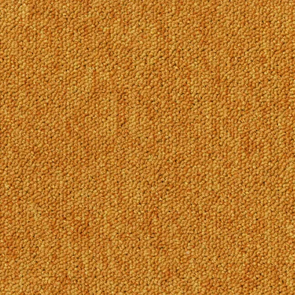 Teppeflis Tarkett Desso Essence 530 AB05 5420-V B1