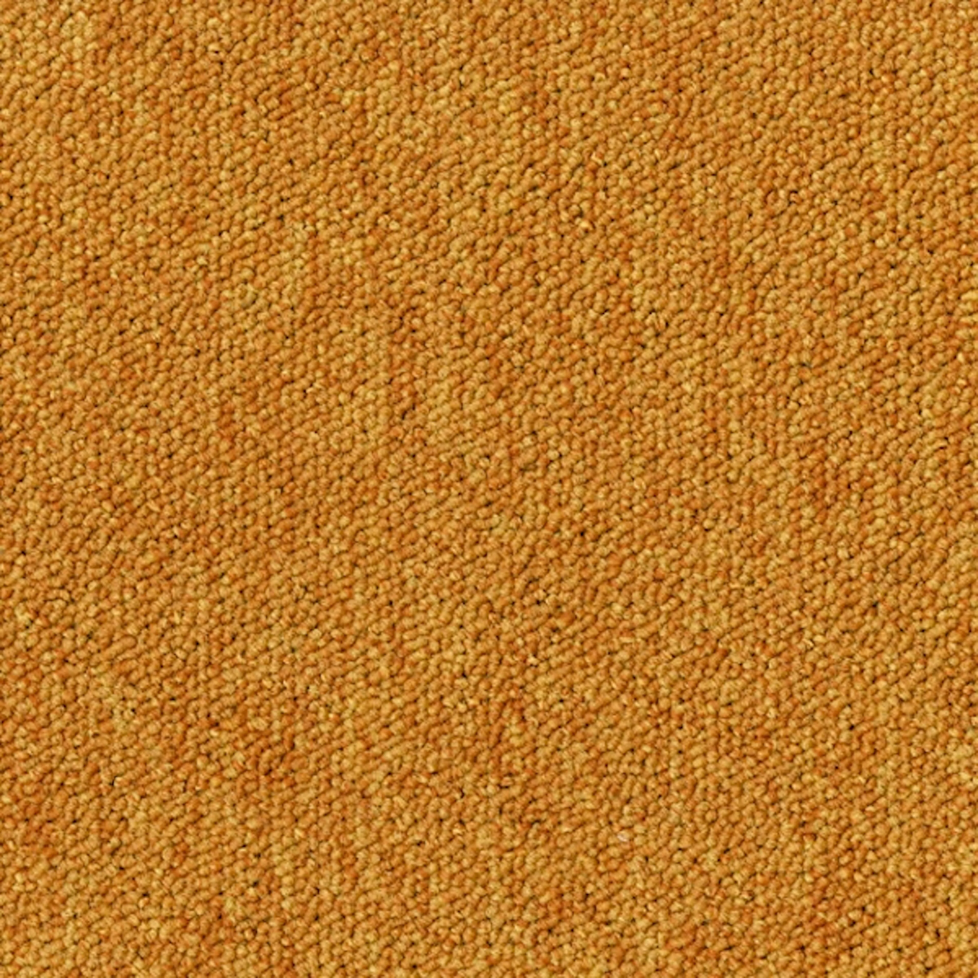 Teppeflis Tarkett Desso Essence 530 AB05 5420-V B1