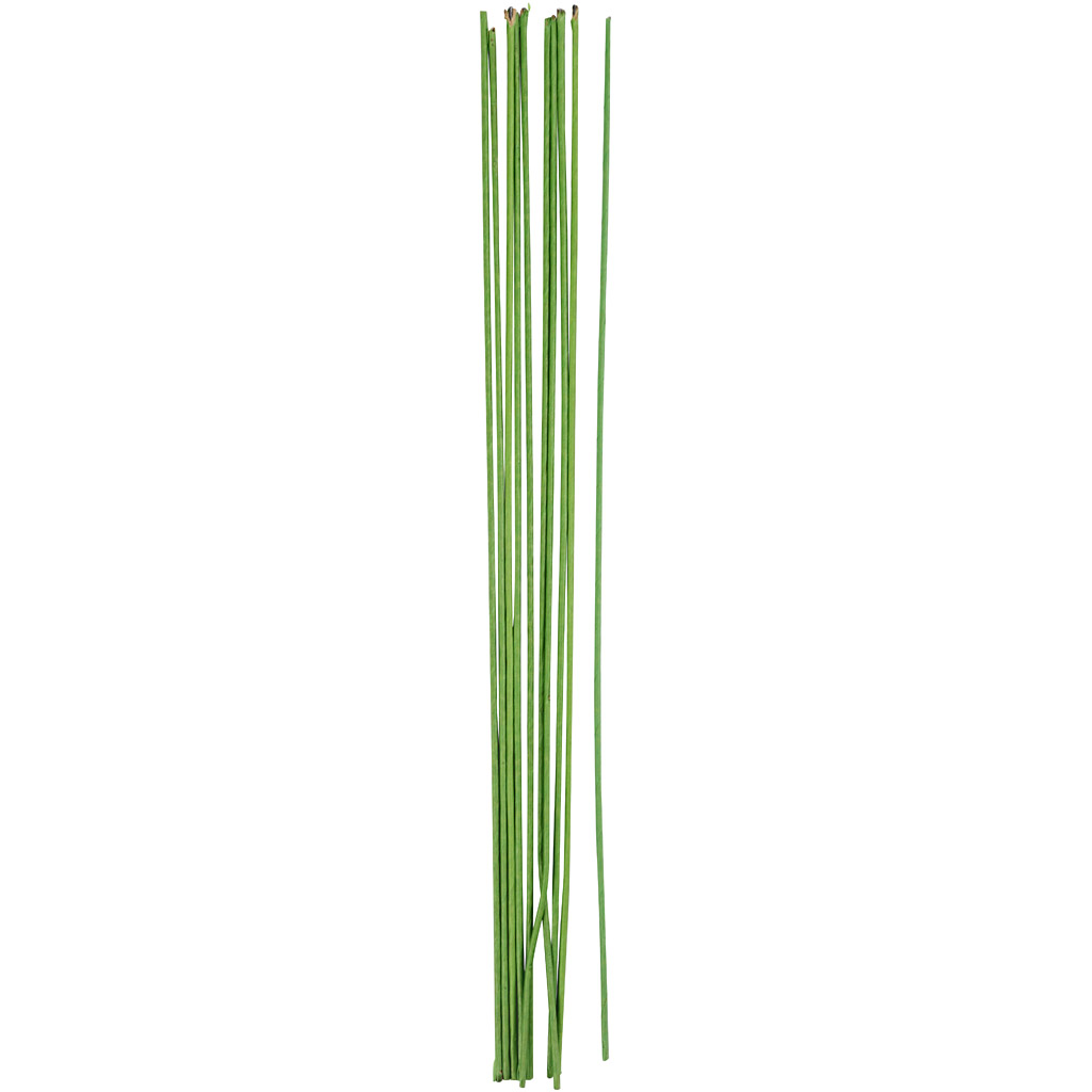 Blomstertråd Creativ Company Grønn 30 cm