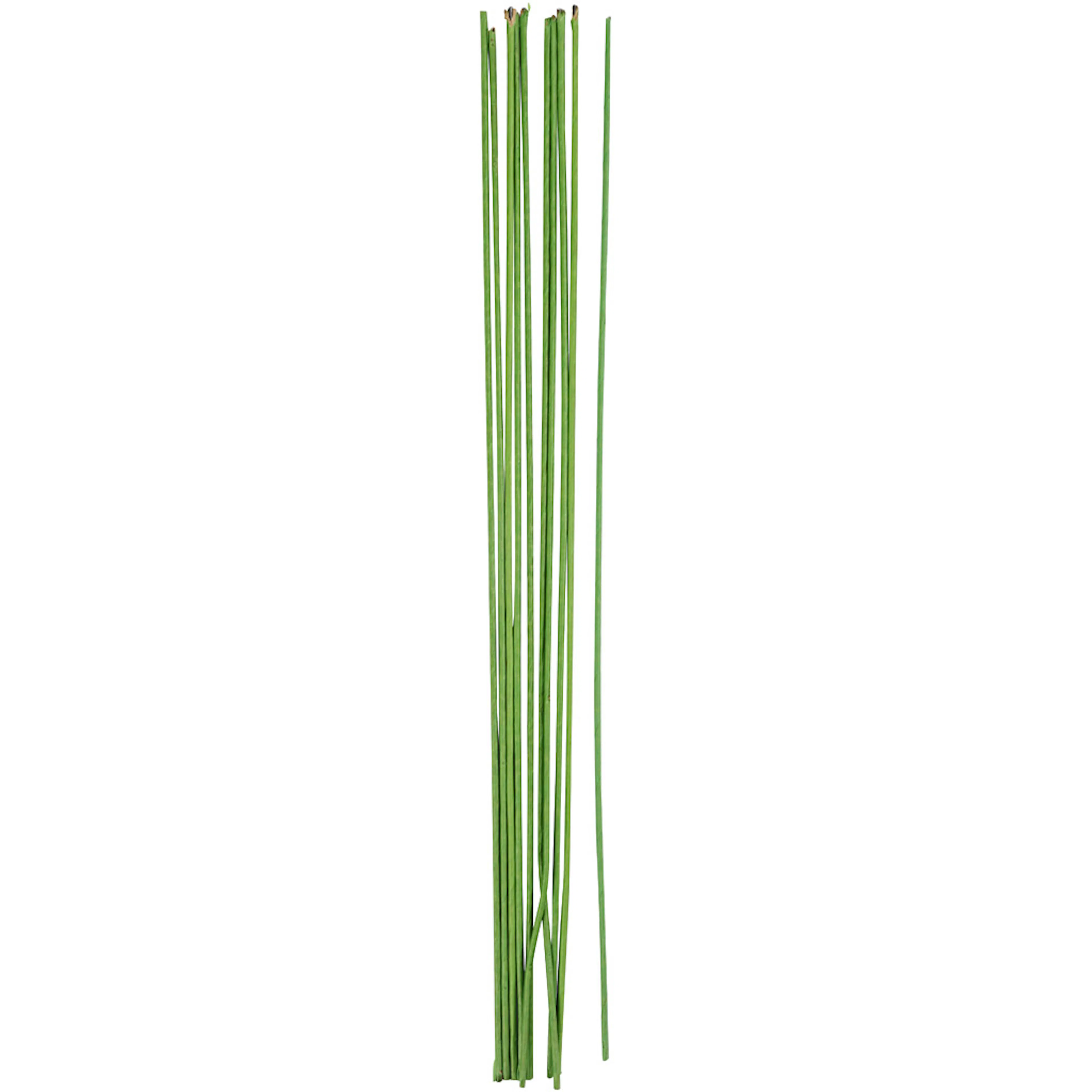 Blomstertråd Creativ Company Grønn 30 cm