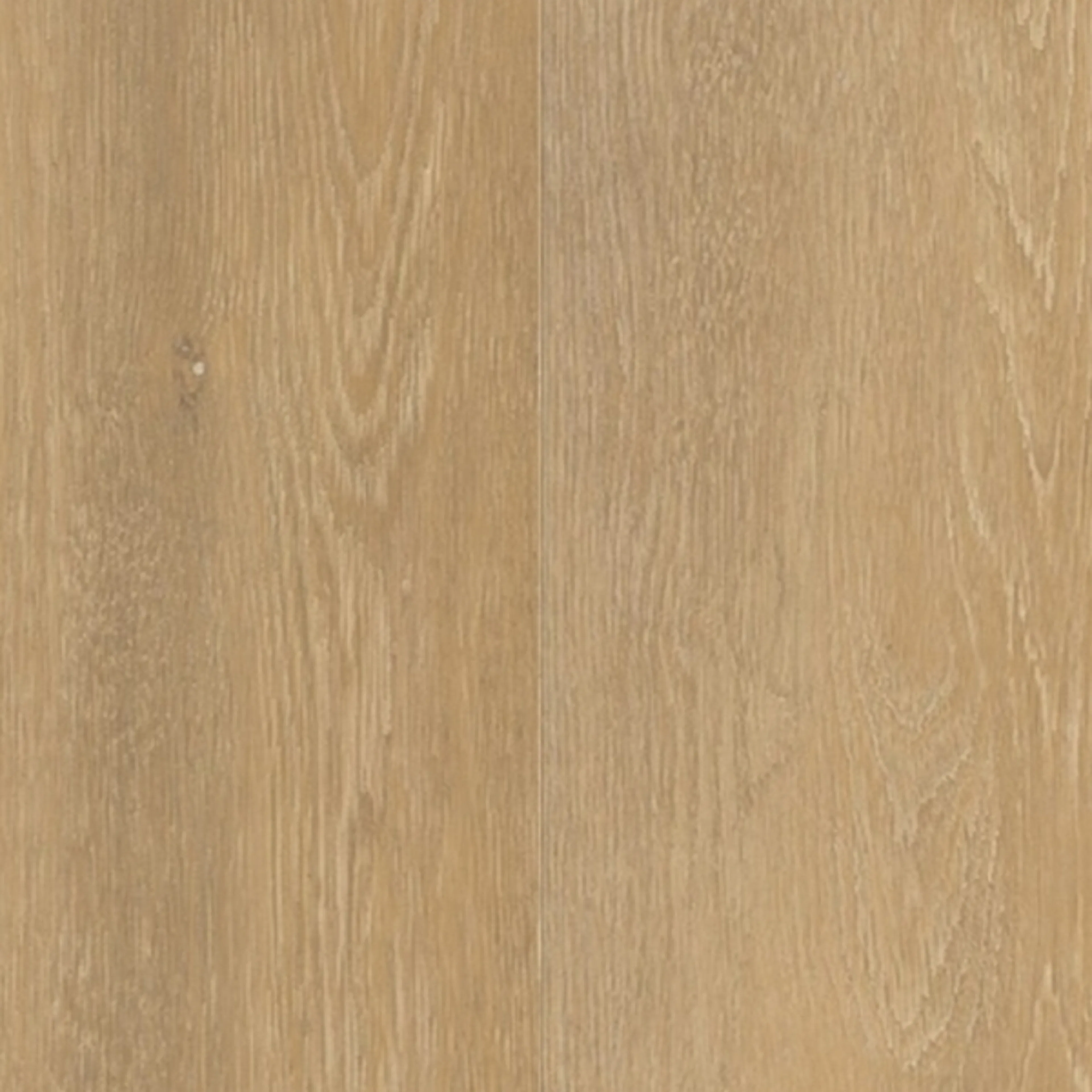 Vinylgulv Gerflor Topsilence DE XXL Tikal Blond