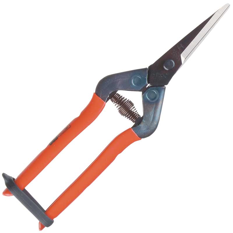 Hagesaks Silky Chikamasa