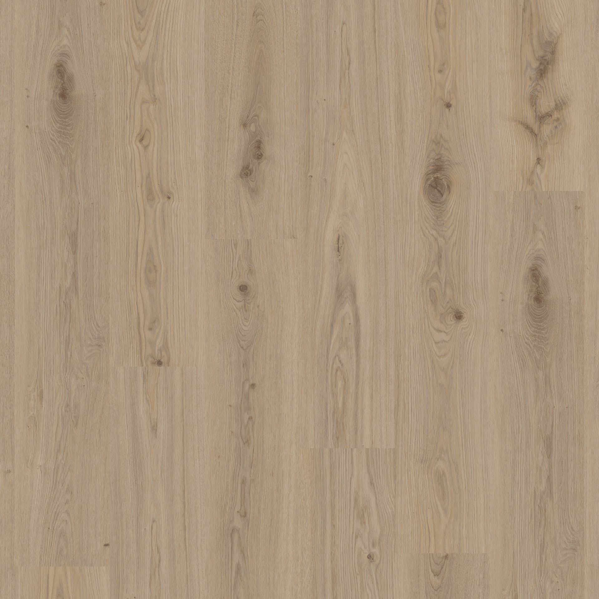 Vinylgulv Tarkett Elegance Rigid 55 Delicate Oak Natural