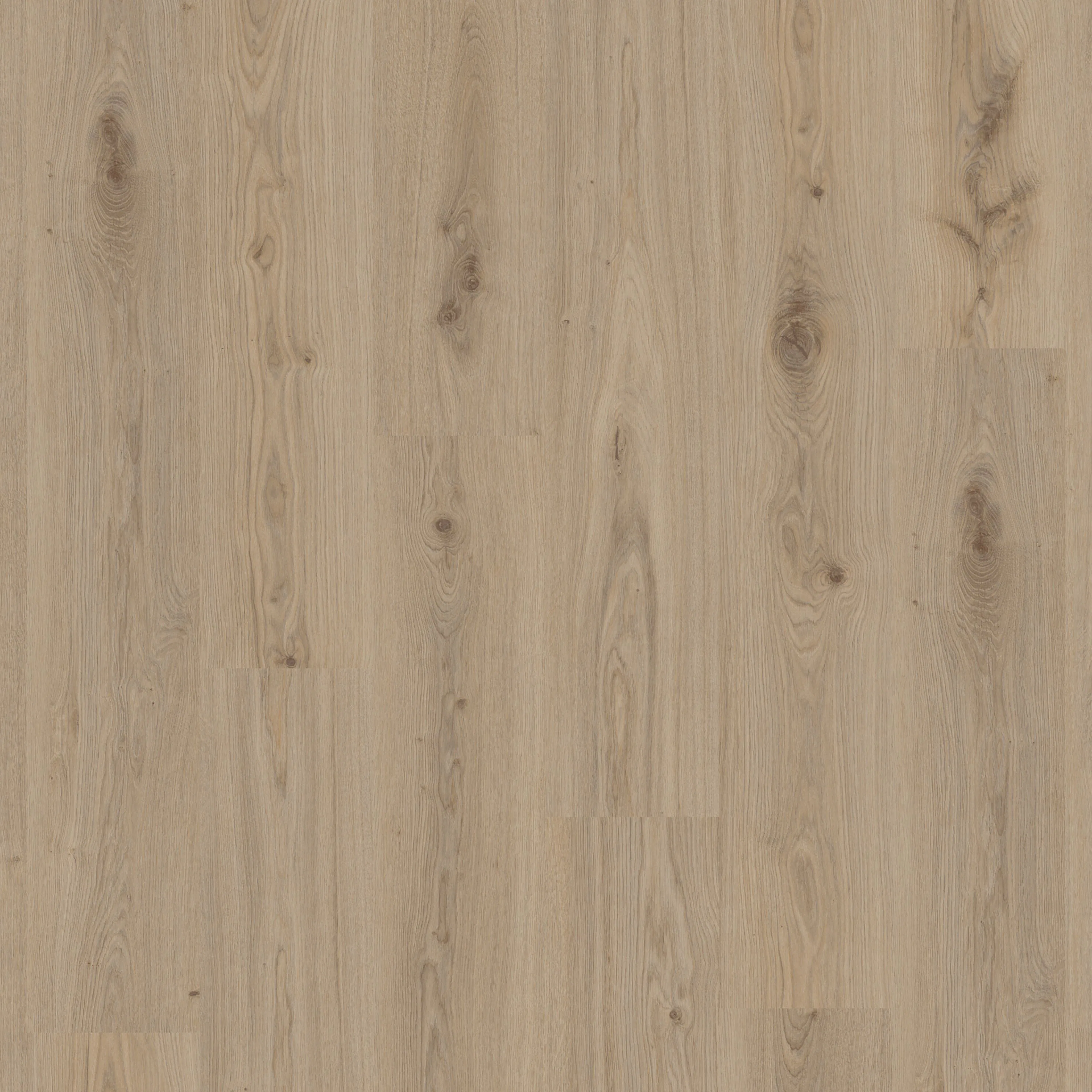 Vinylgulv Tarkett Elegance Rigid 55 Delicate Oak Natural