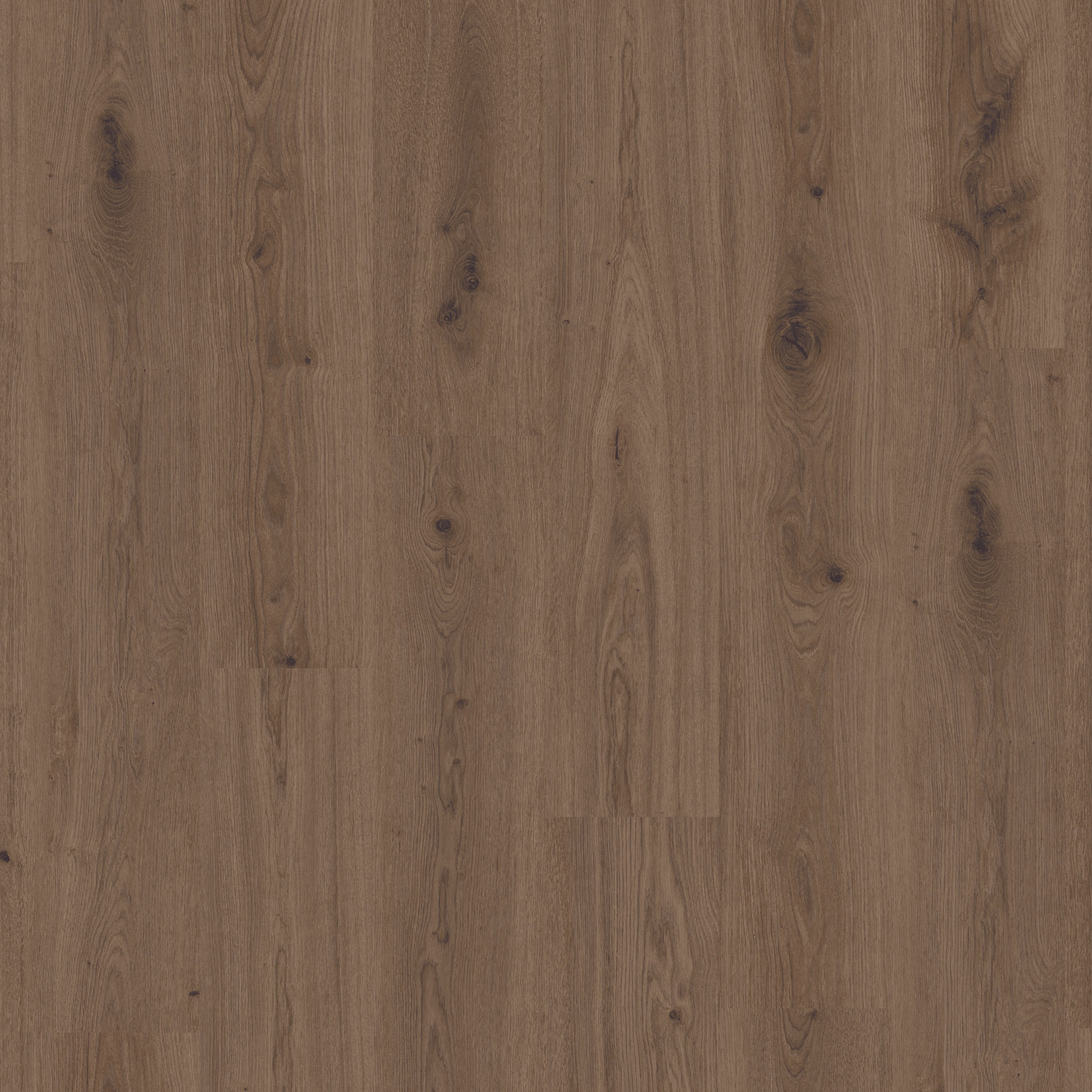 Vinylgulv Tarkett Elegance Rigid 55 Delicate Oak Brown
