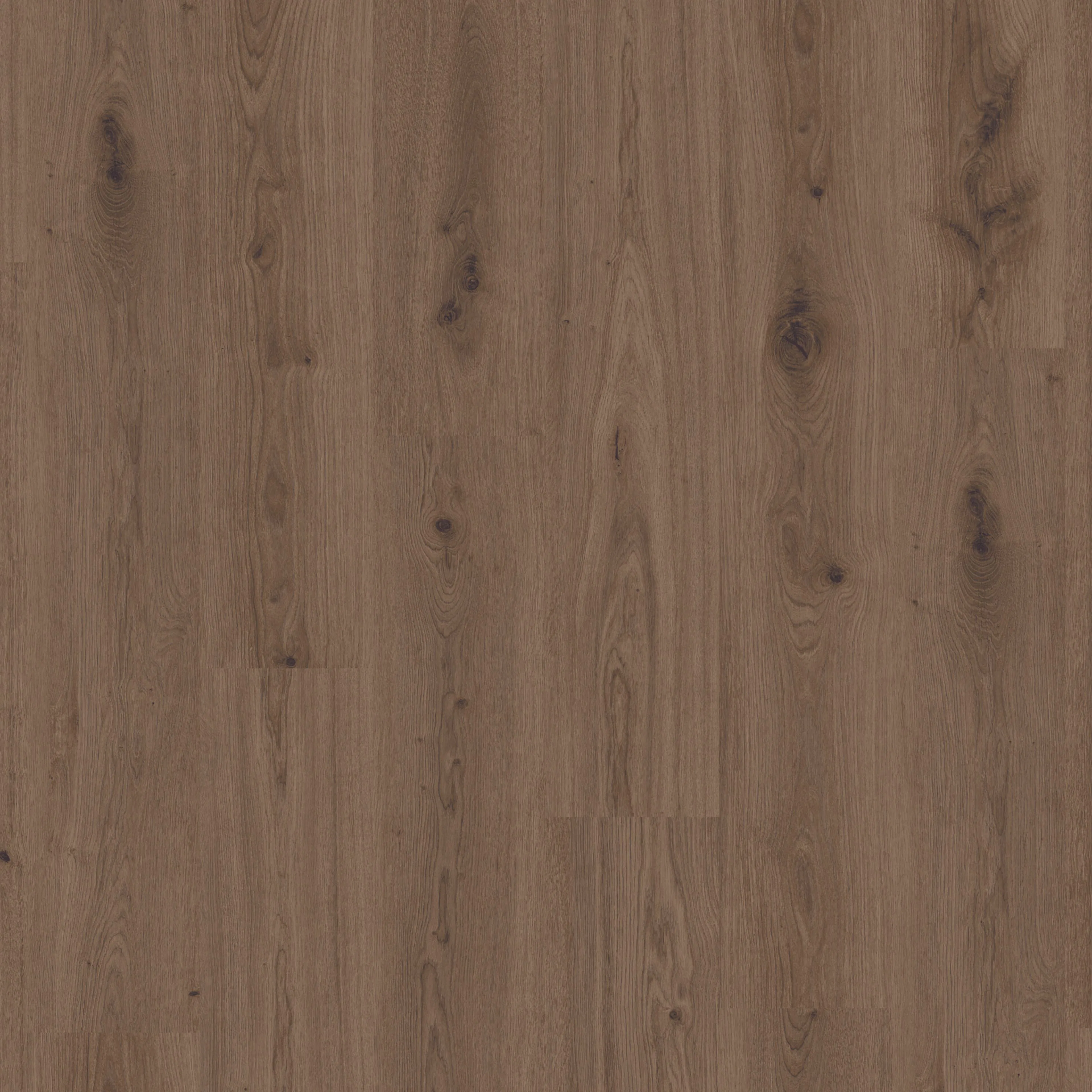Vinylgulv Tarkett Elegance Rigid 55 Delicate Oak Brown
