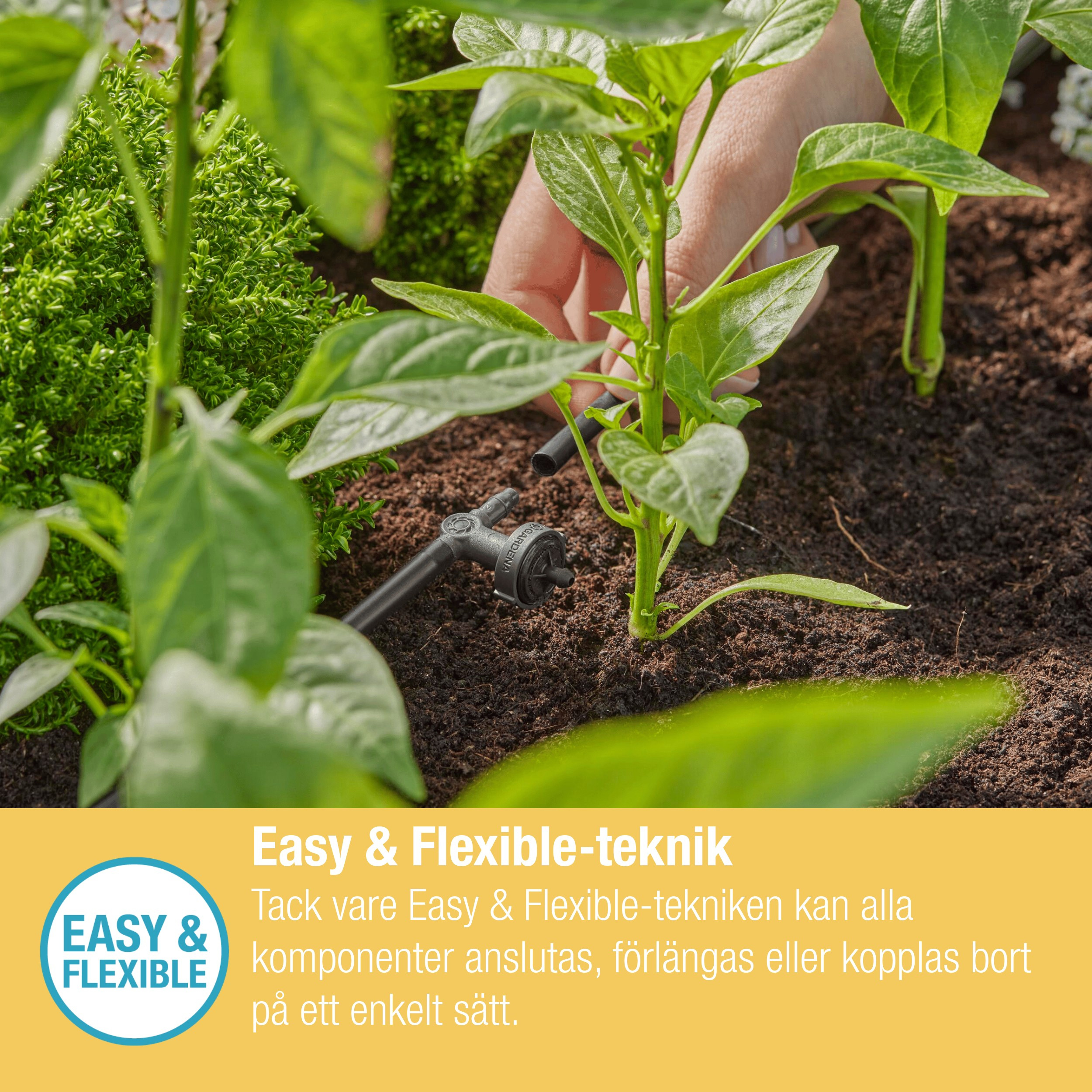 Dryppfordeler Gardena Micro-Drip Inline 2 l/h Trykkregulerende