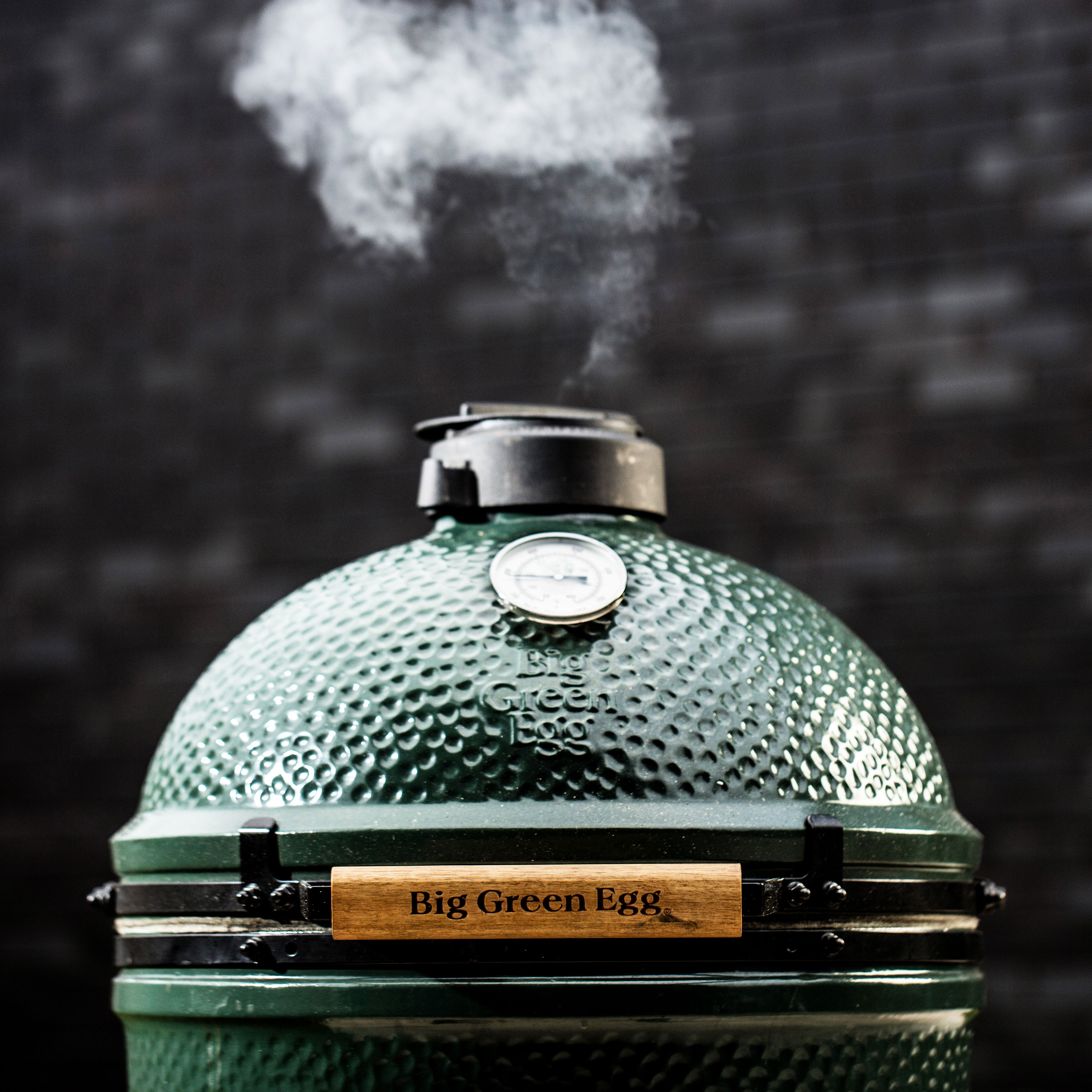 Kullgrilll Big Green Egg Medium
