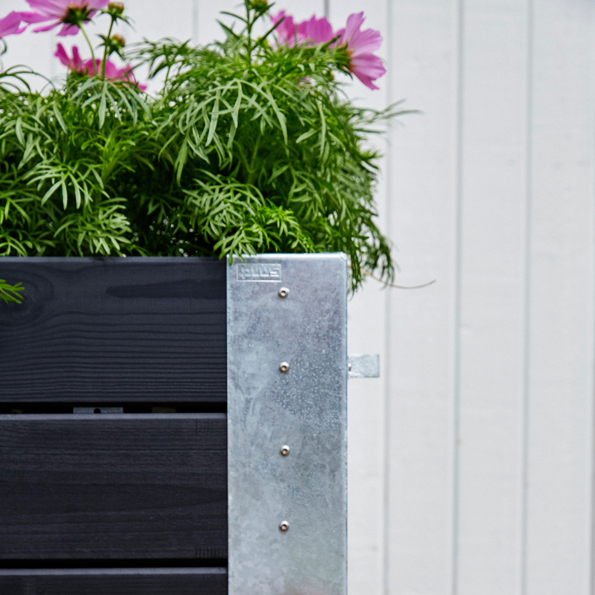 CUBIC Blomlåda Svart