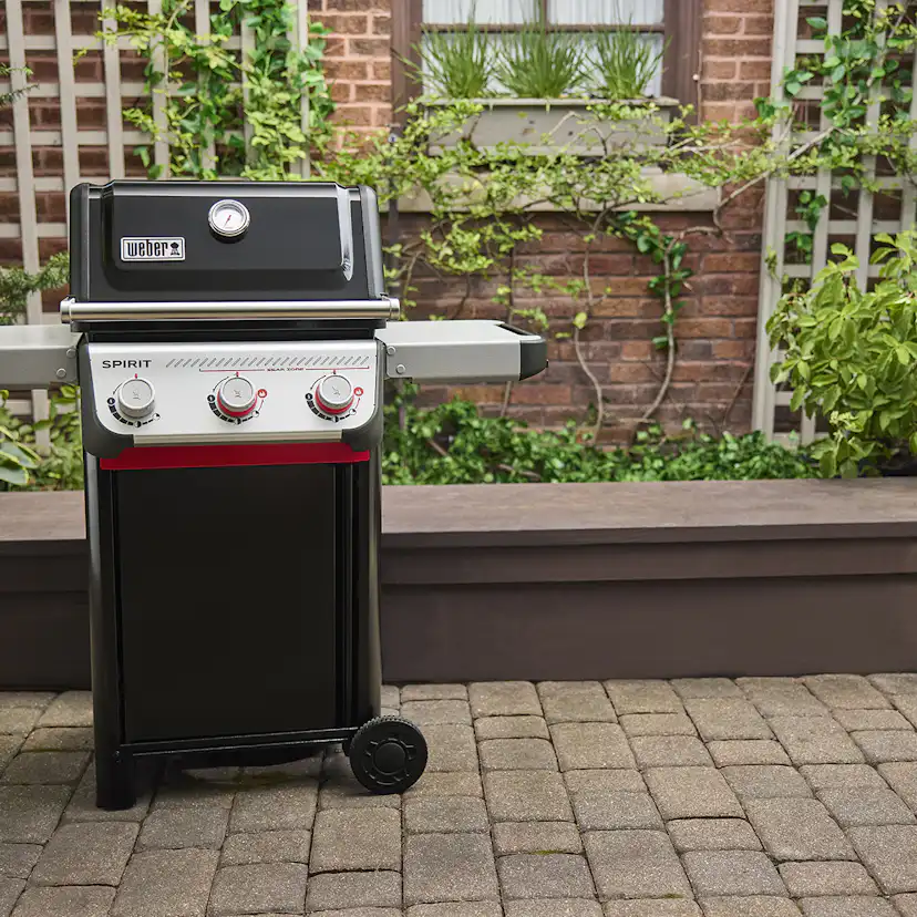 Gassgrill Weber Spirit E-325