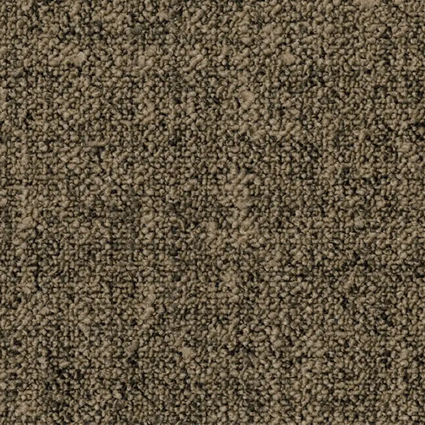 Teppeflis Tarkett Desso Linon AA83 B8 2023