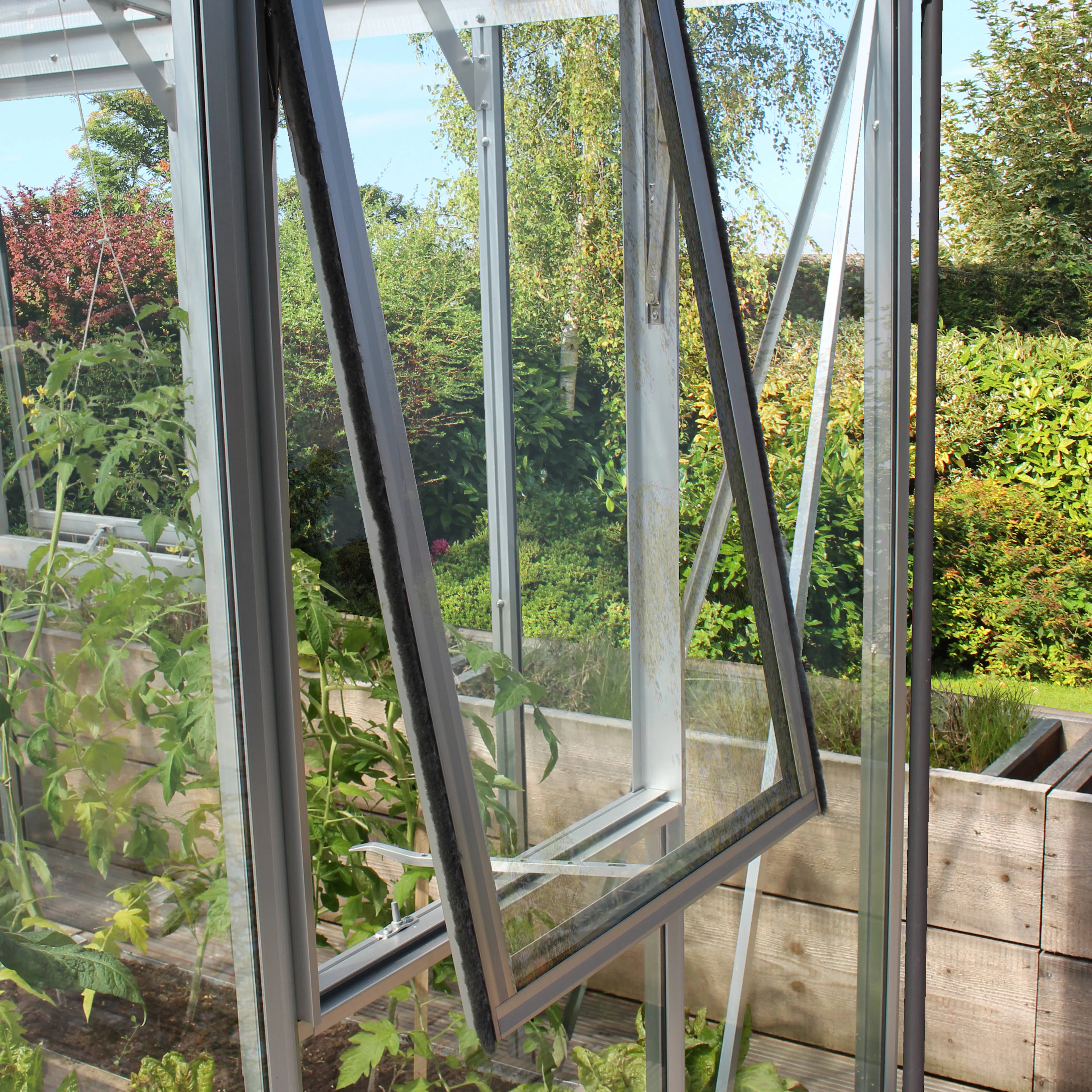 Sidevindu Vitavia for Helena uten Glass