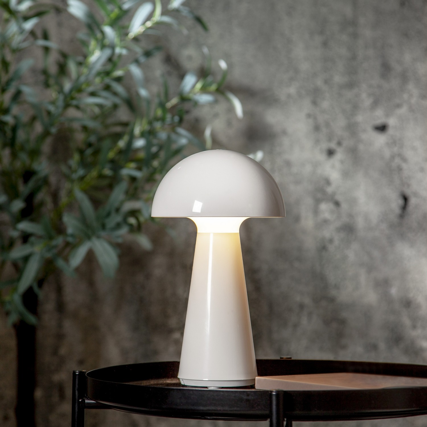 Bordlampe Star Trading Mushroom