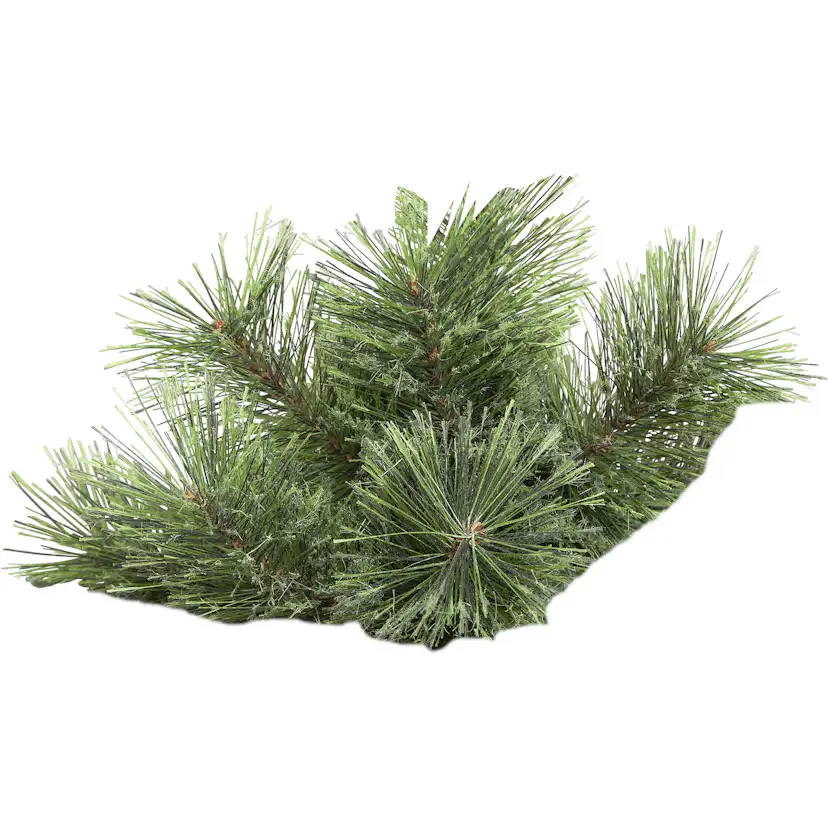 Juletre Star Trading Cembrini